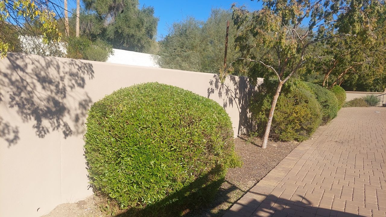 8,600 s.f. Single Family Home in Paradise Valley Arizona 85253 by Crash of Rhinos Painting & Garage Floors
