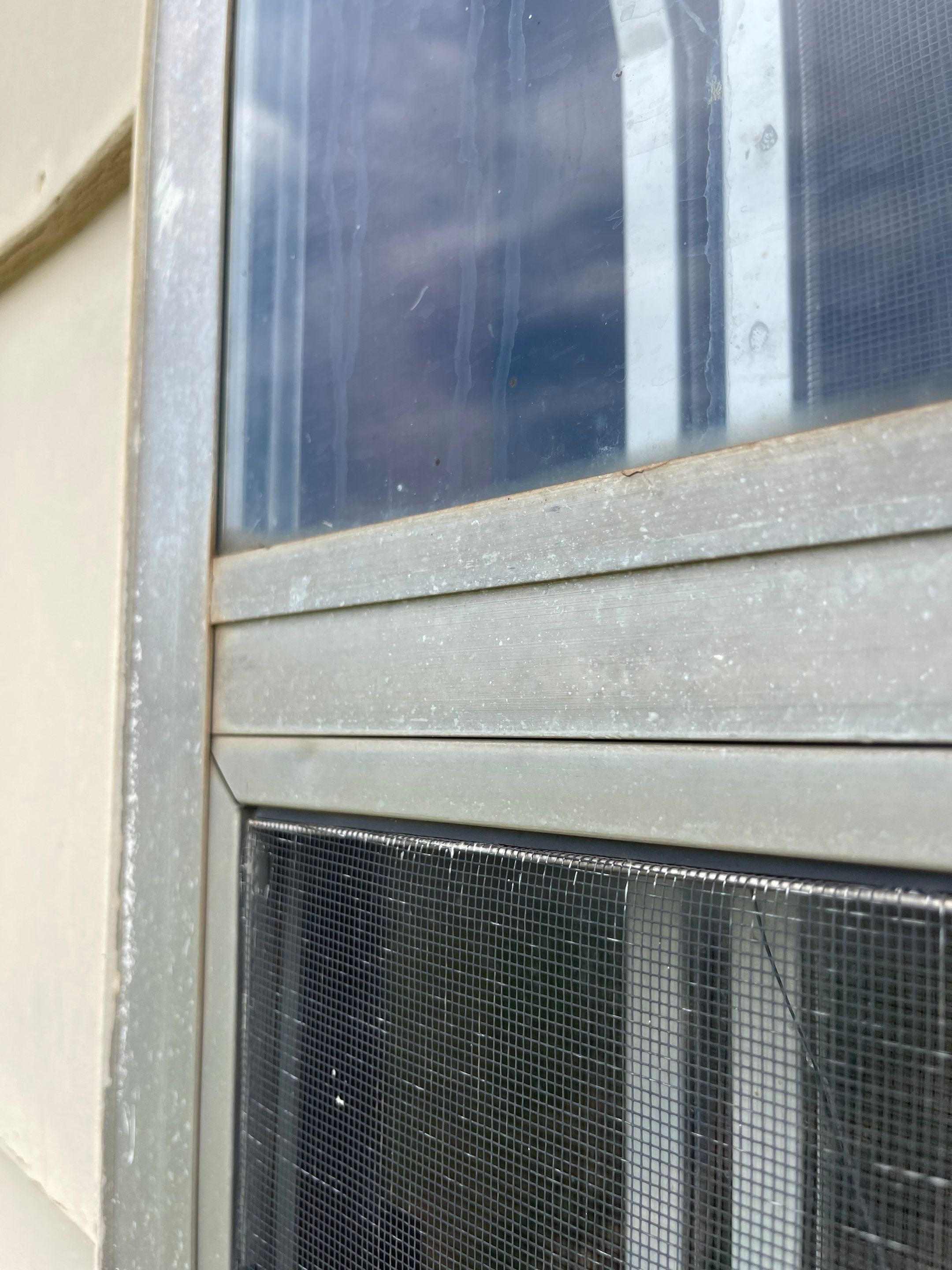 Hail Damage on a Roofing System by Icon Roofing And Construction 
