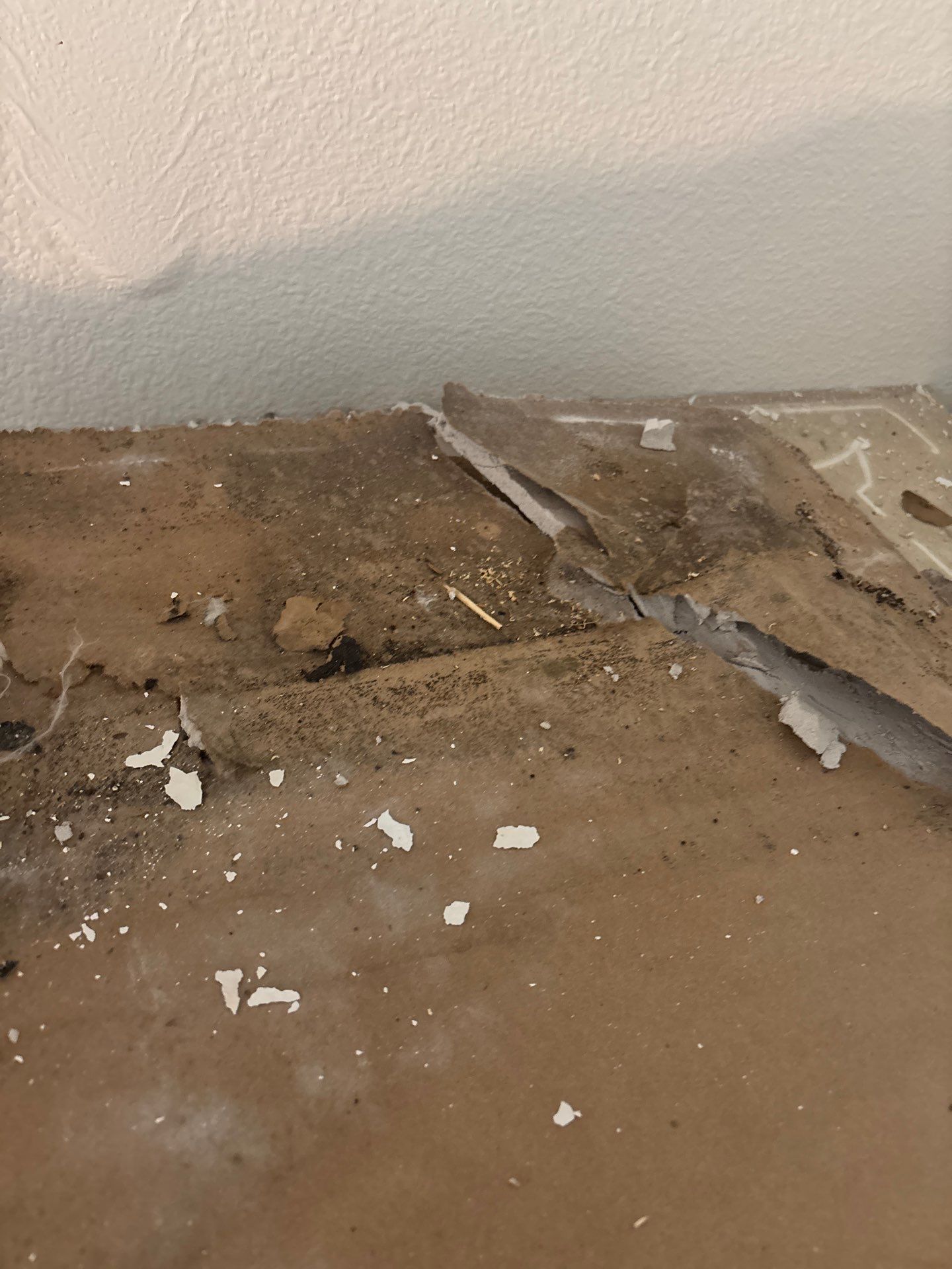 Mold Damage Inspection And Removal In North Port, FL by Ampm Restoration Services