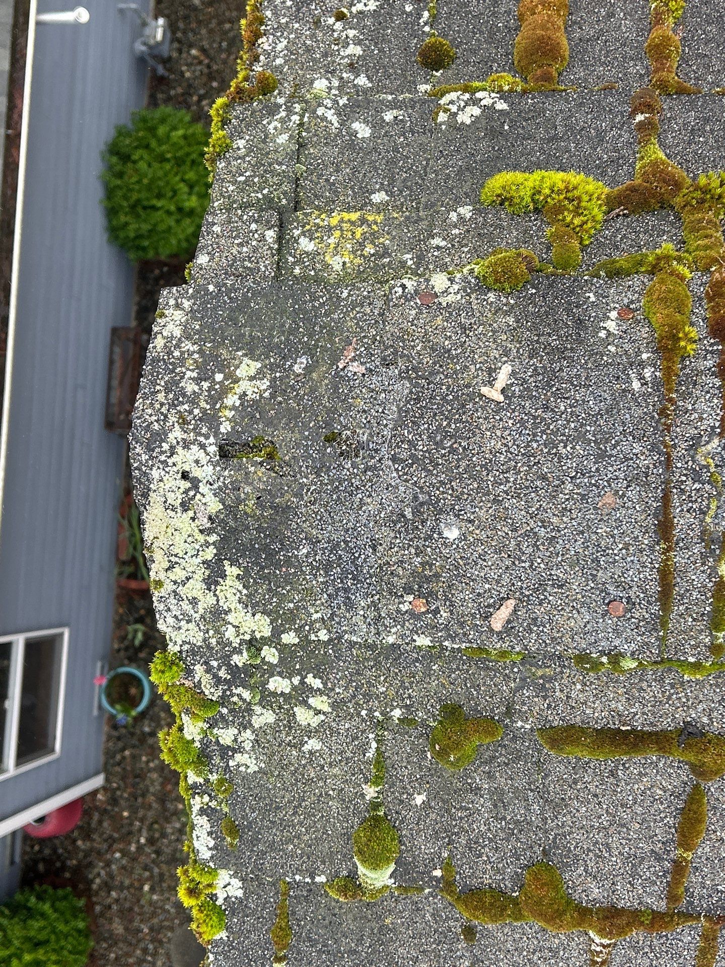 Project in Mill Creek by Connolly Construction Company