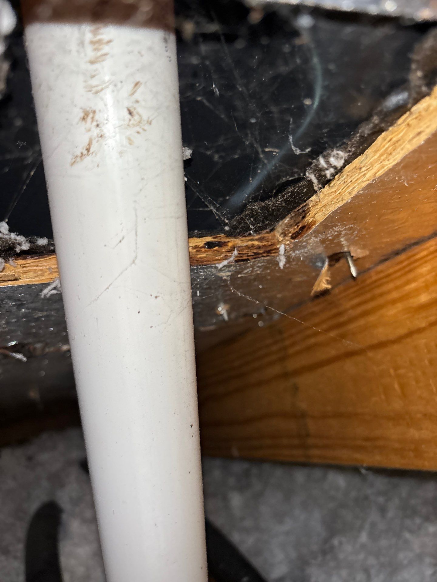 Roof Repair Sugarland by Roof Repair Services LLC
