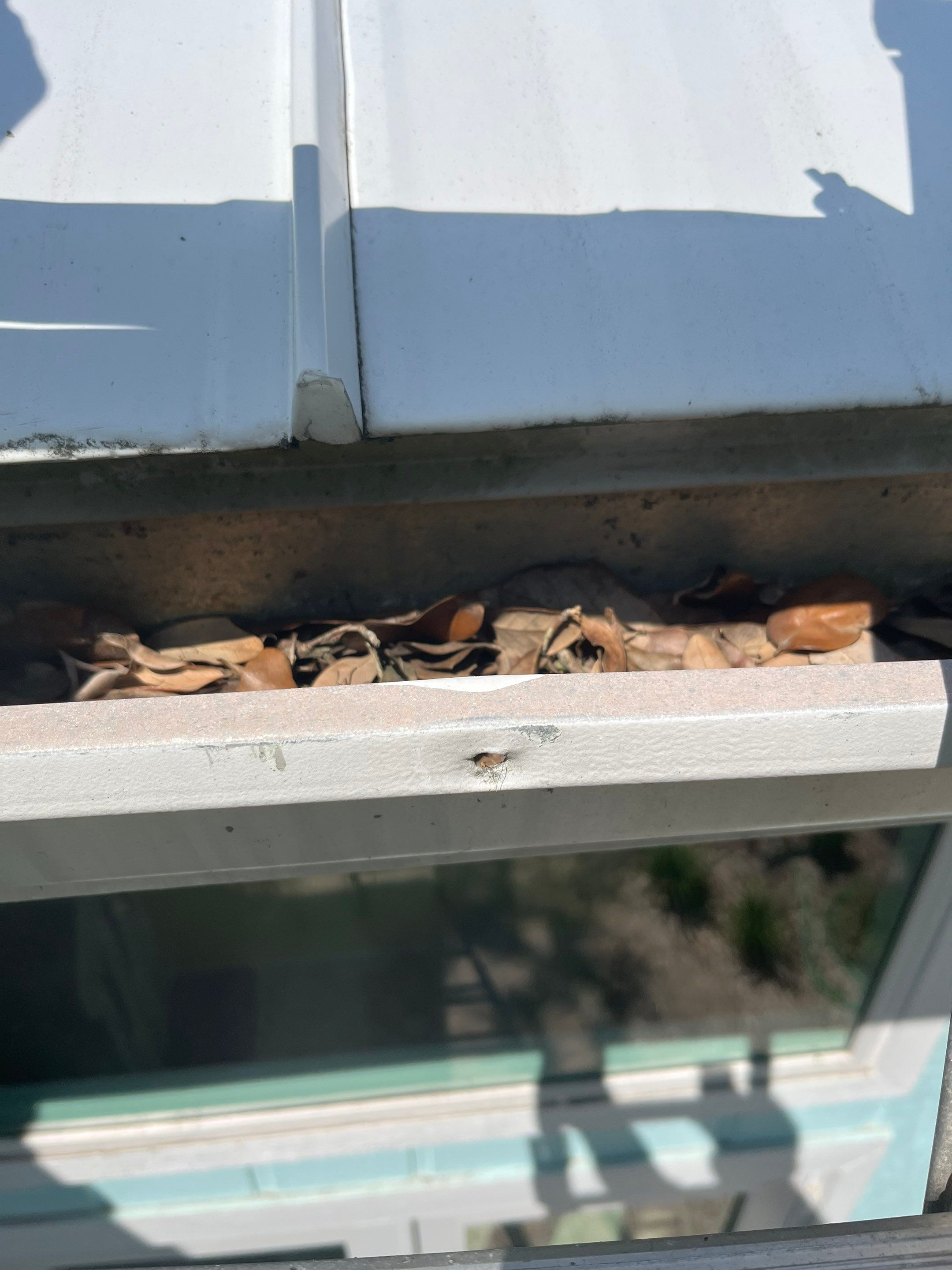 Leaf Guard System for Sarasota Homeowners by Gutter Professors
