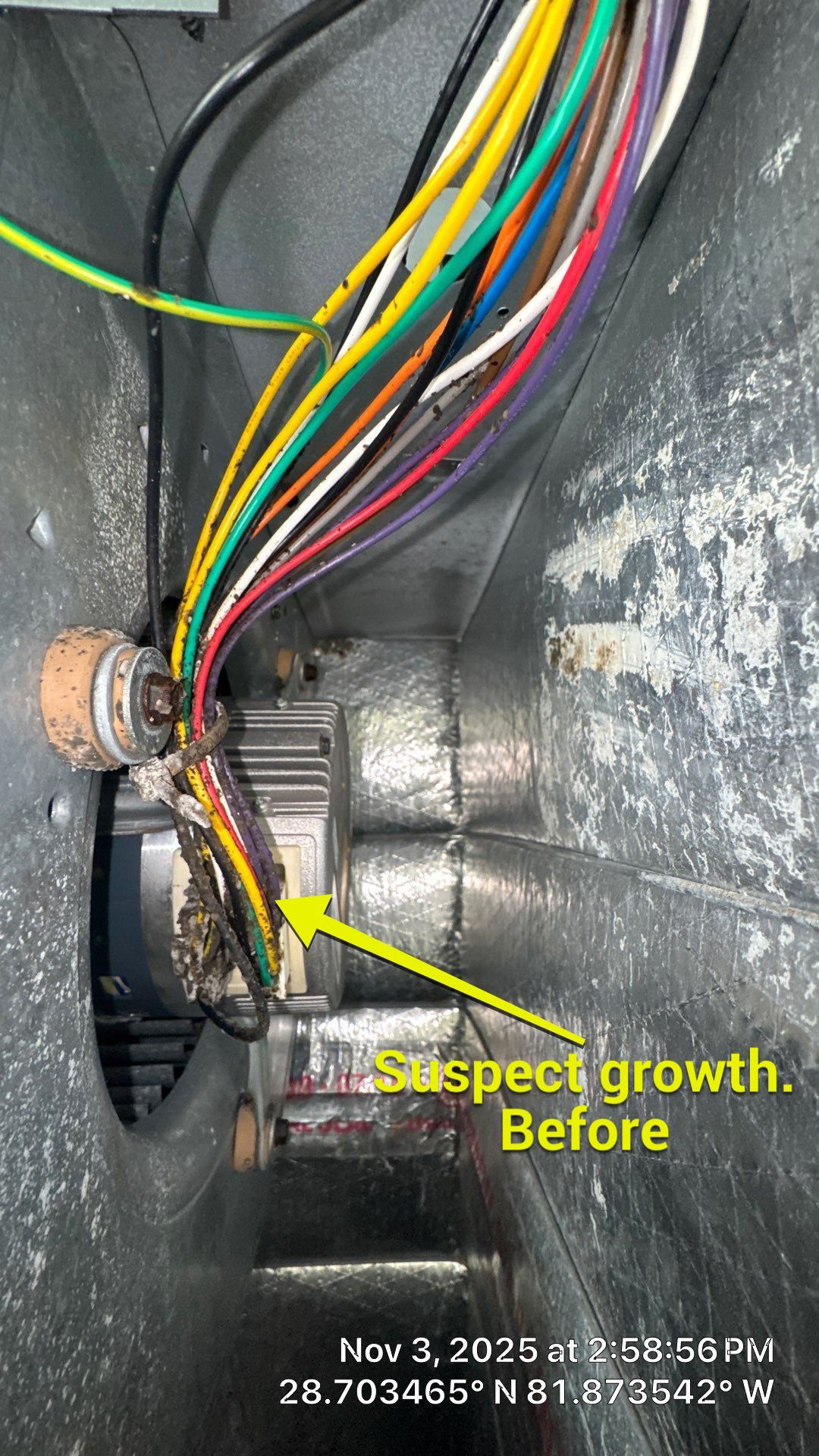 Air Duct and Dryer Vent Cleaning Boot Repair in Leesburg by Hygienic Air, Inc