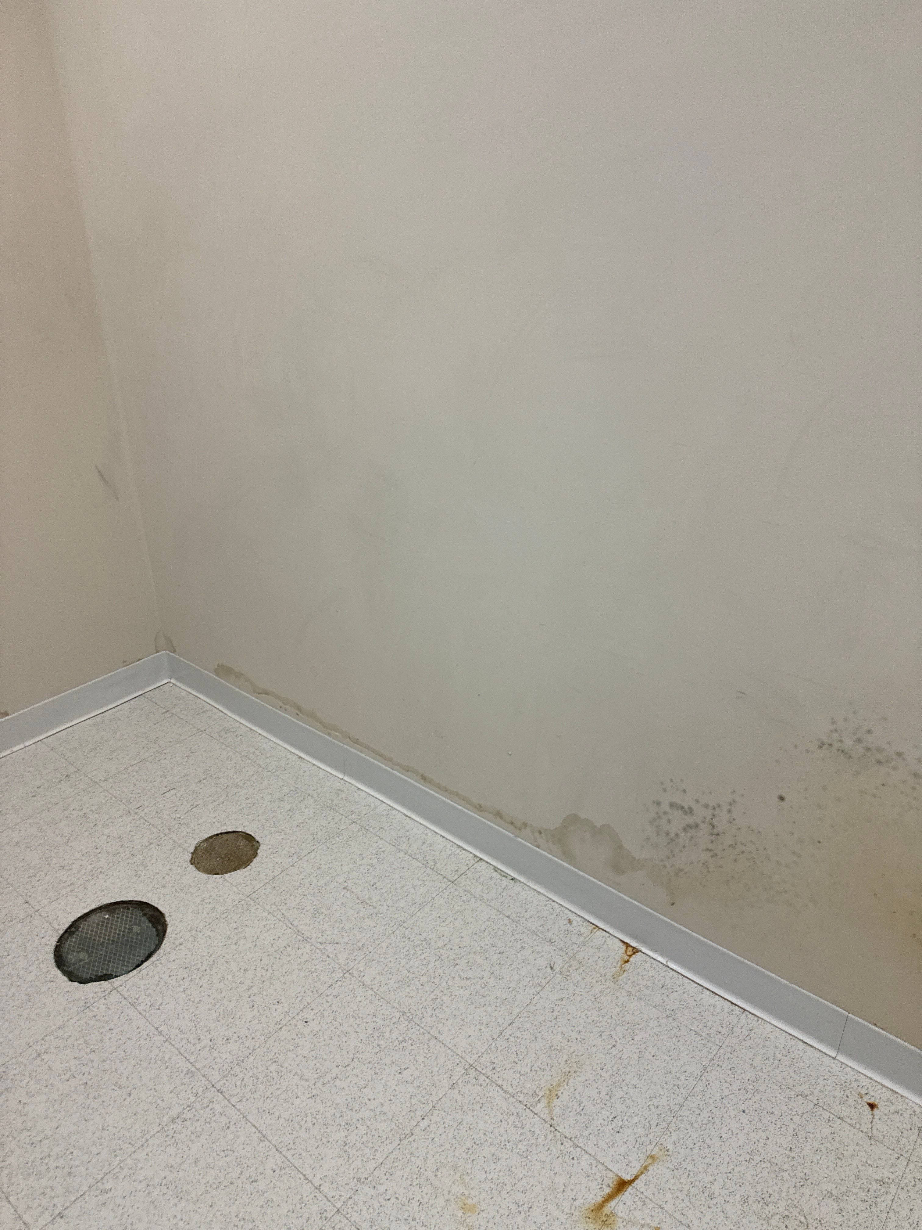 Mold Remediation Fairfield NJ by Pure Service Pro, LLC 