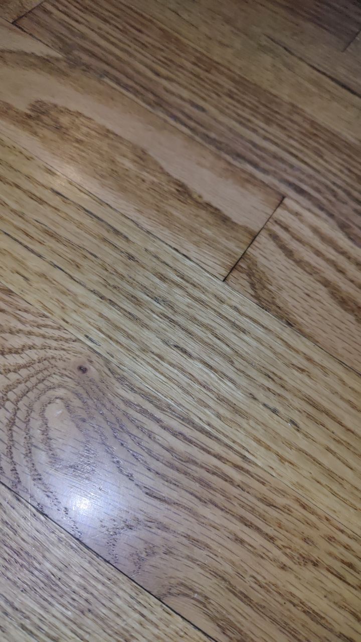 Water Damage by Accountable Home Services