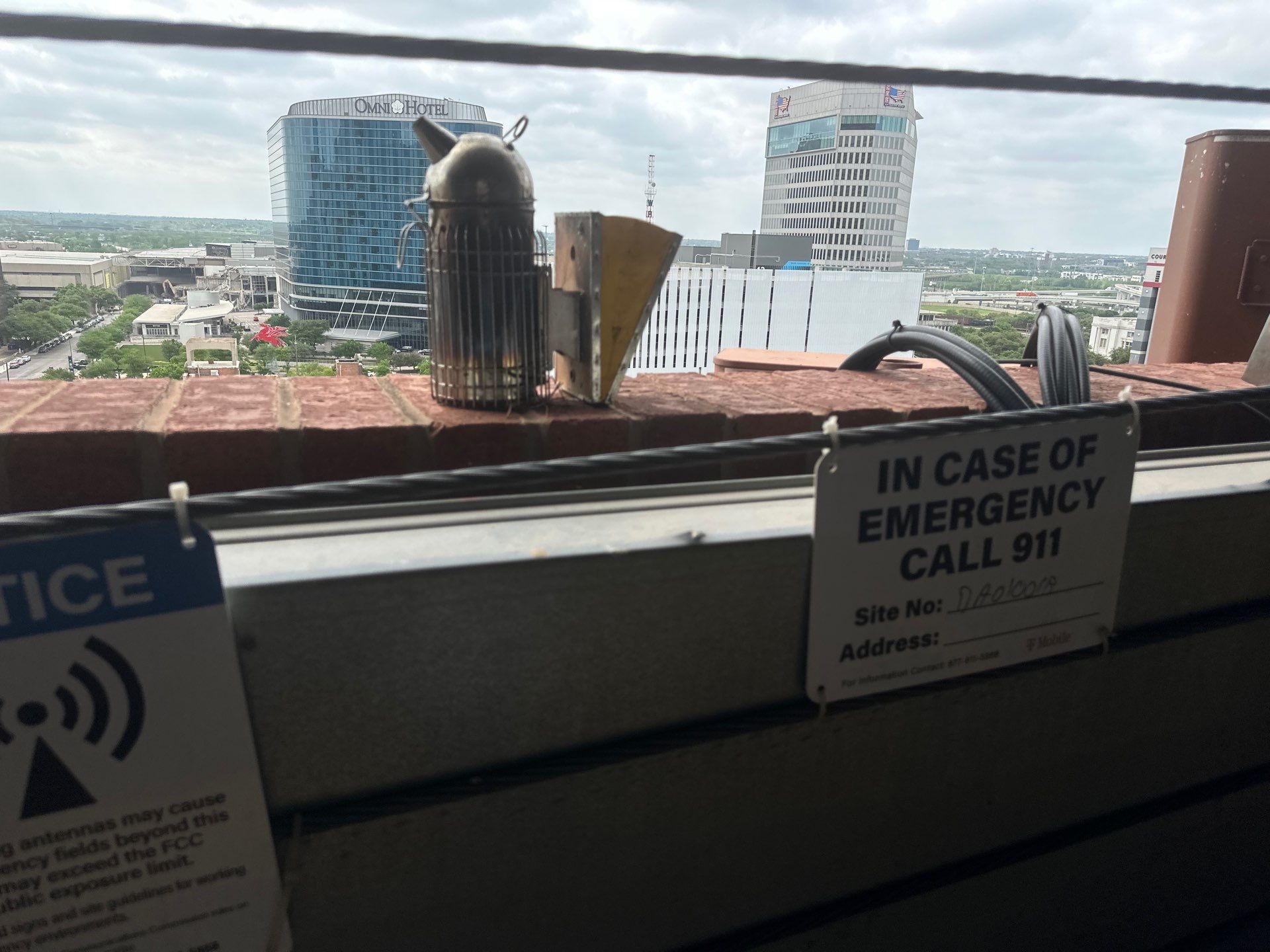 Downtown Dallas by Rockwall Honey Bee Company
