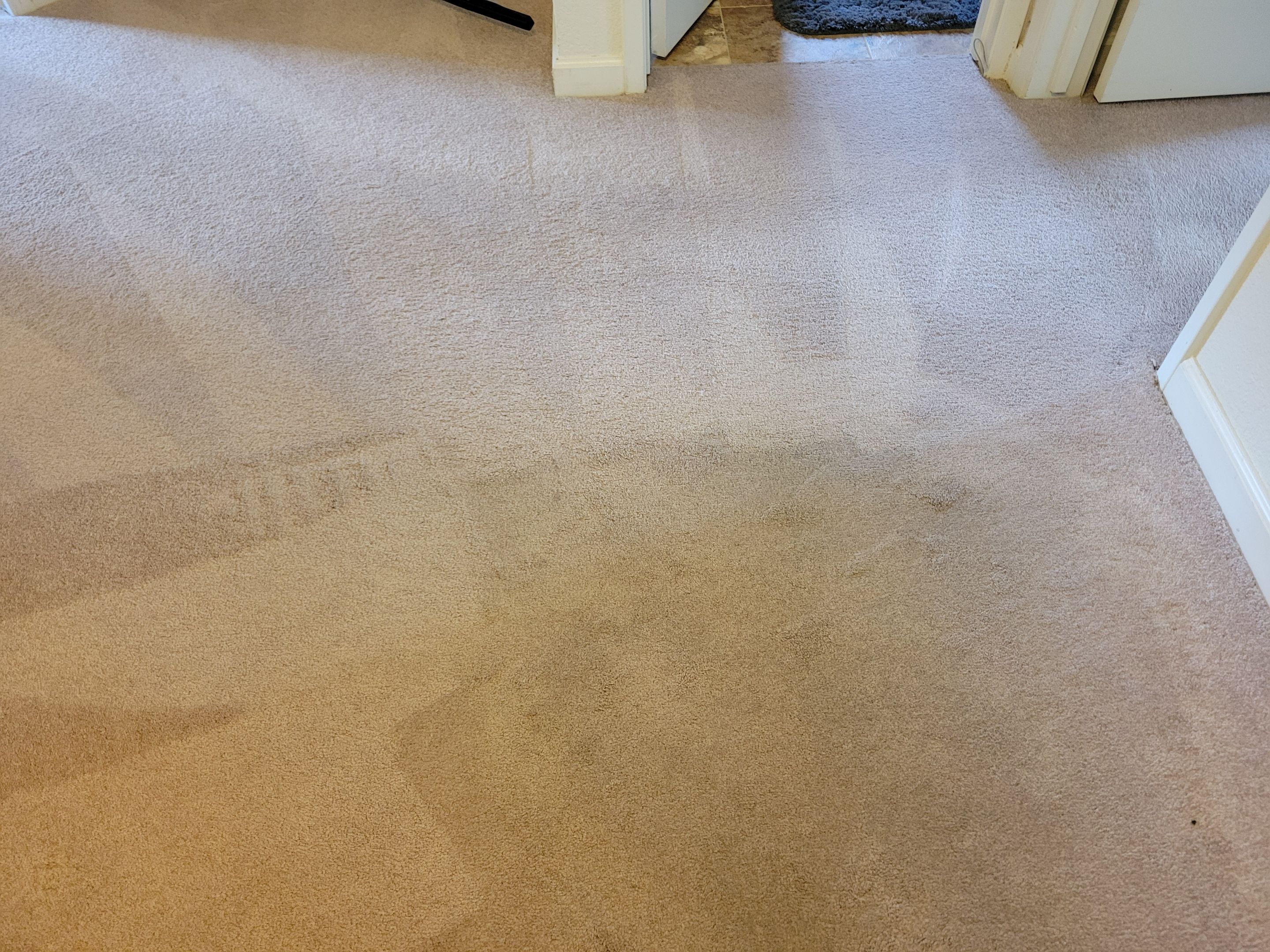 Woodland Carpet Re-stretch and Cleaning by Ardent Carpet Restore LLC
