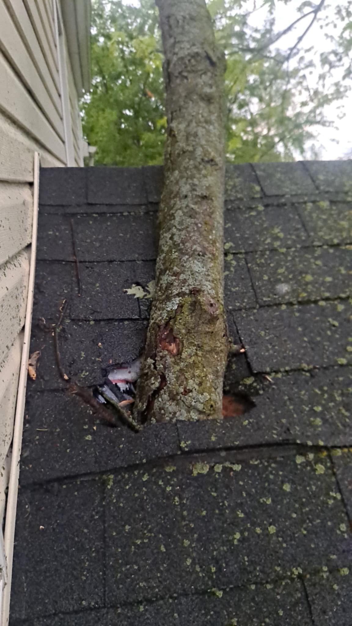 Jonathon Salmons Hail & Tree Damage Report by Constructive Project Management