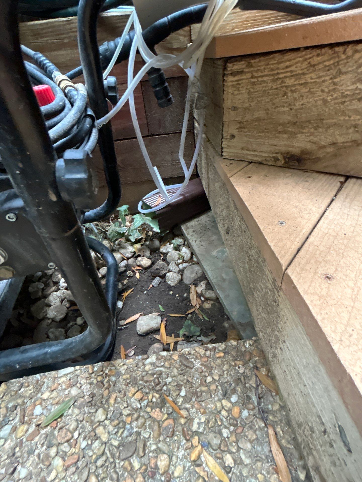 Alexandria : Residential Roof Replacement with CertainTeed Landmark Pro in Max Def Heather Blend  by RM Banning, Inc.