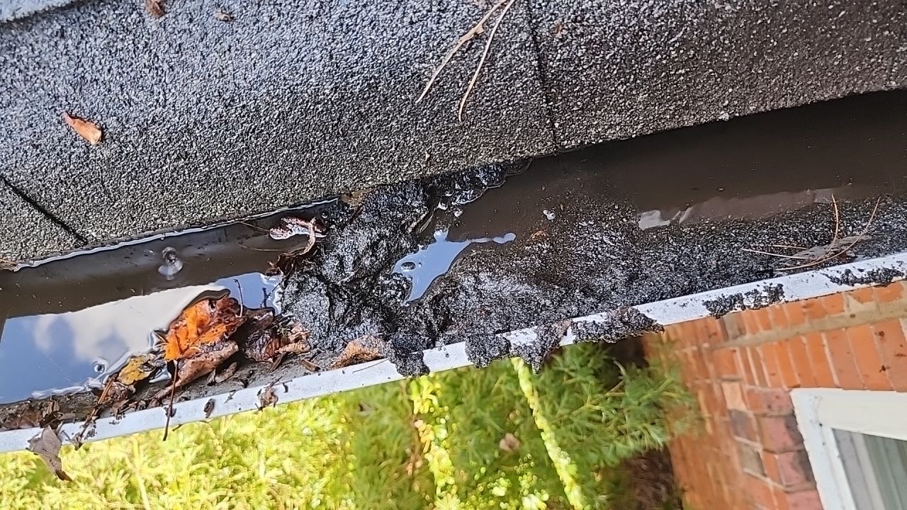 House Wash using cleaner by Power Wash Masters LLC