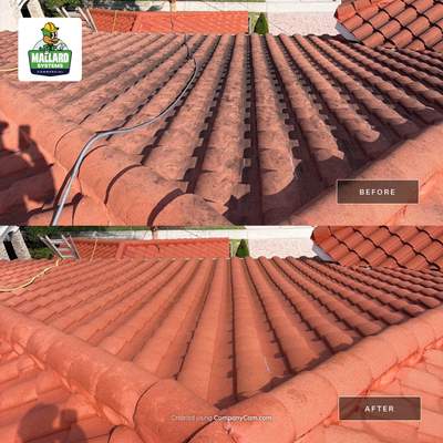 Barrel Tile Roof Cleaning
