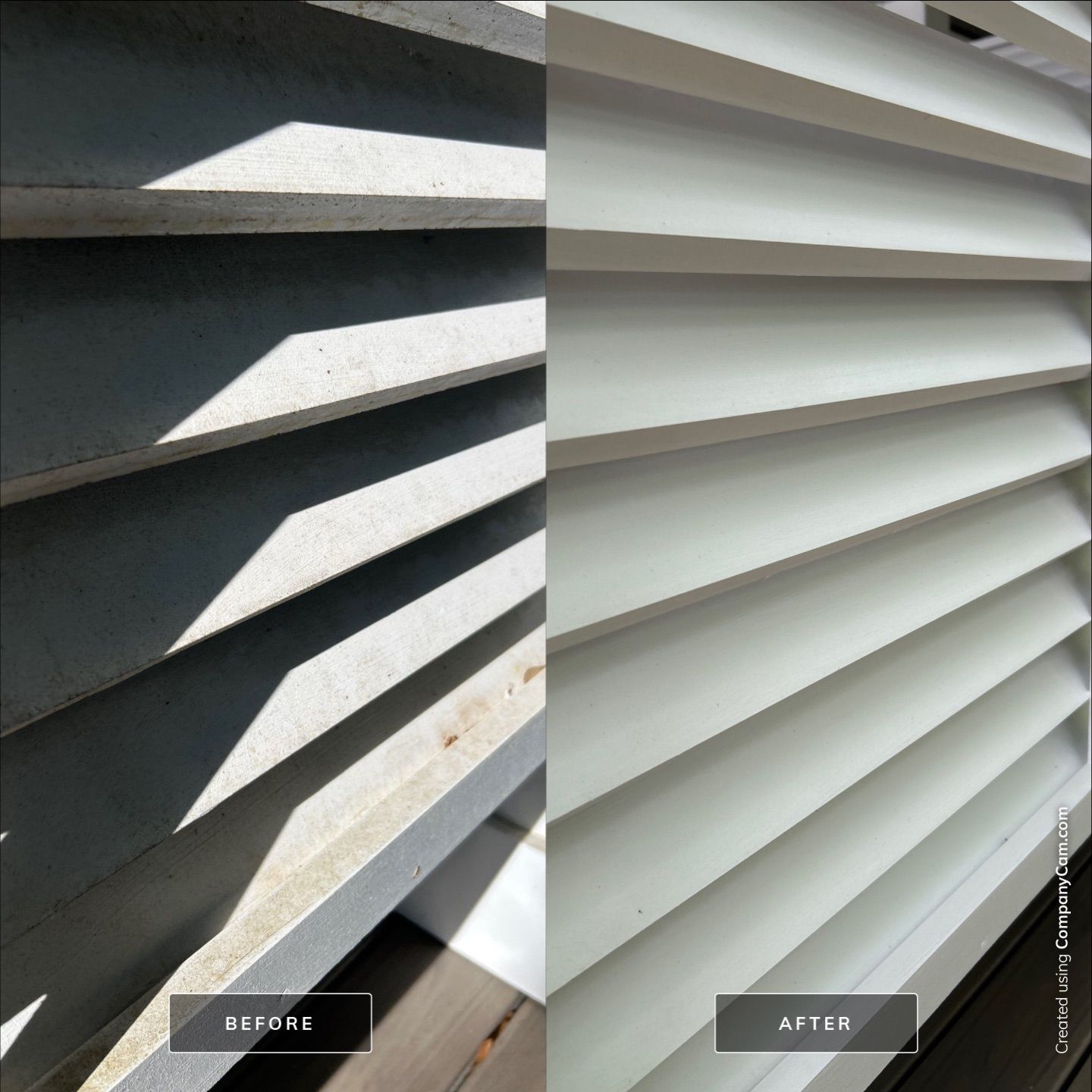 House Washing in Wilmington by Shark Power Washing