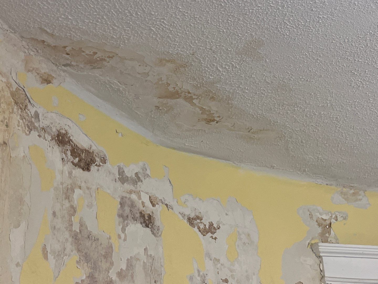 Walls & Ceilings Restoration by Fresh Coat Works LLC