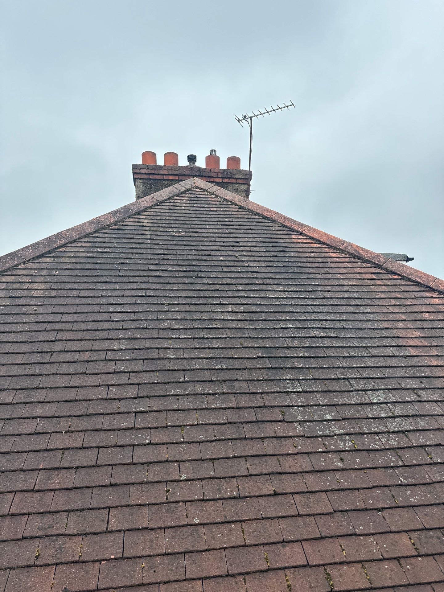 Exterior Clean - Roof - Patio - Driveway using honda 21 ltr/min by Ges Exterior Cleaning ltd