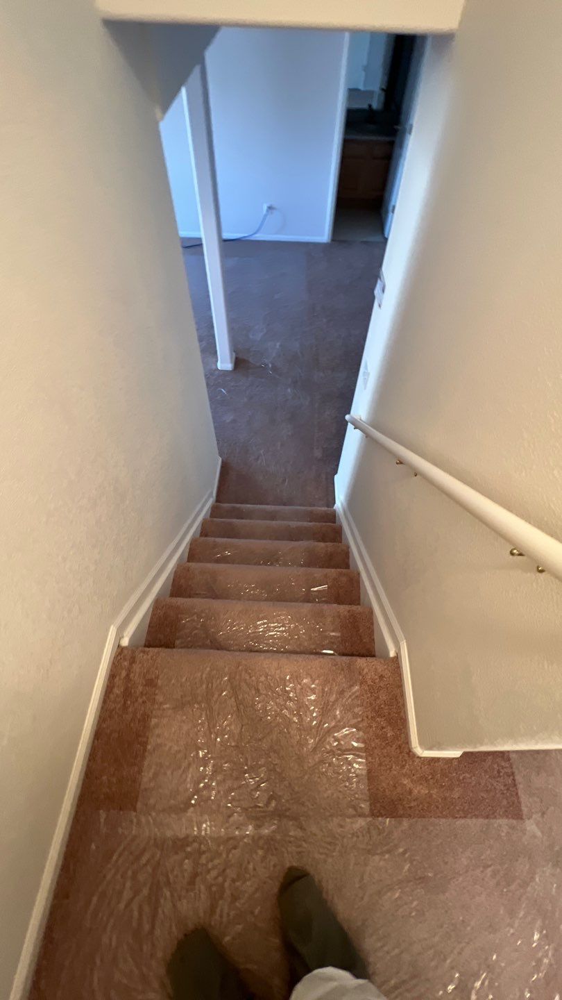 Mold Damage by Accountable Home Services