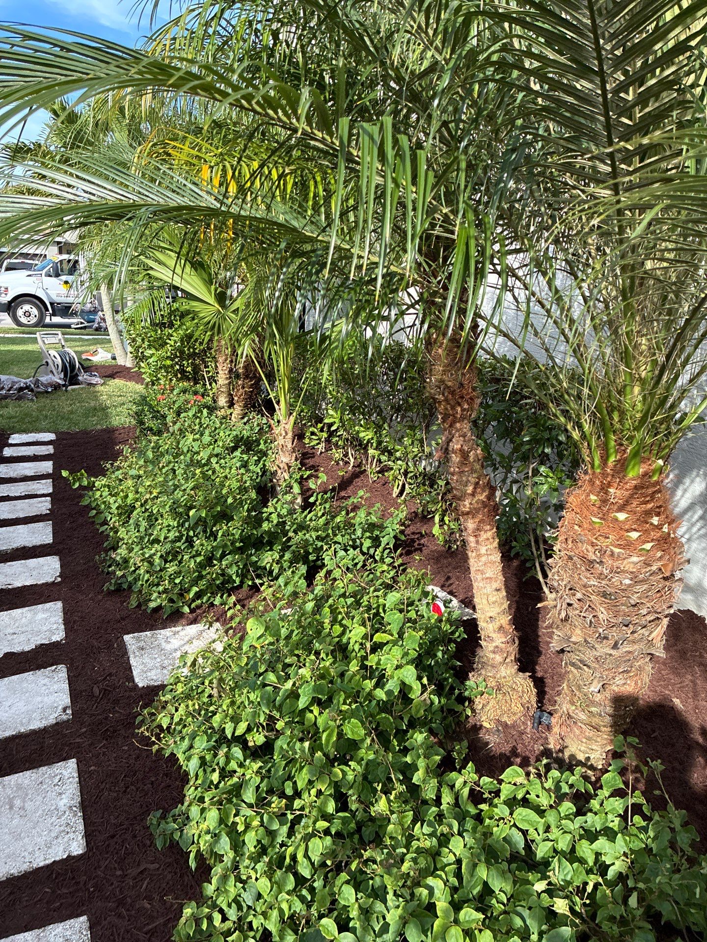 🍃 Berry Park | Detail & Refresh Project  📍 Palm City, Florida by Alpha Zeta Enterprises Inc
