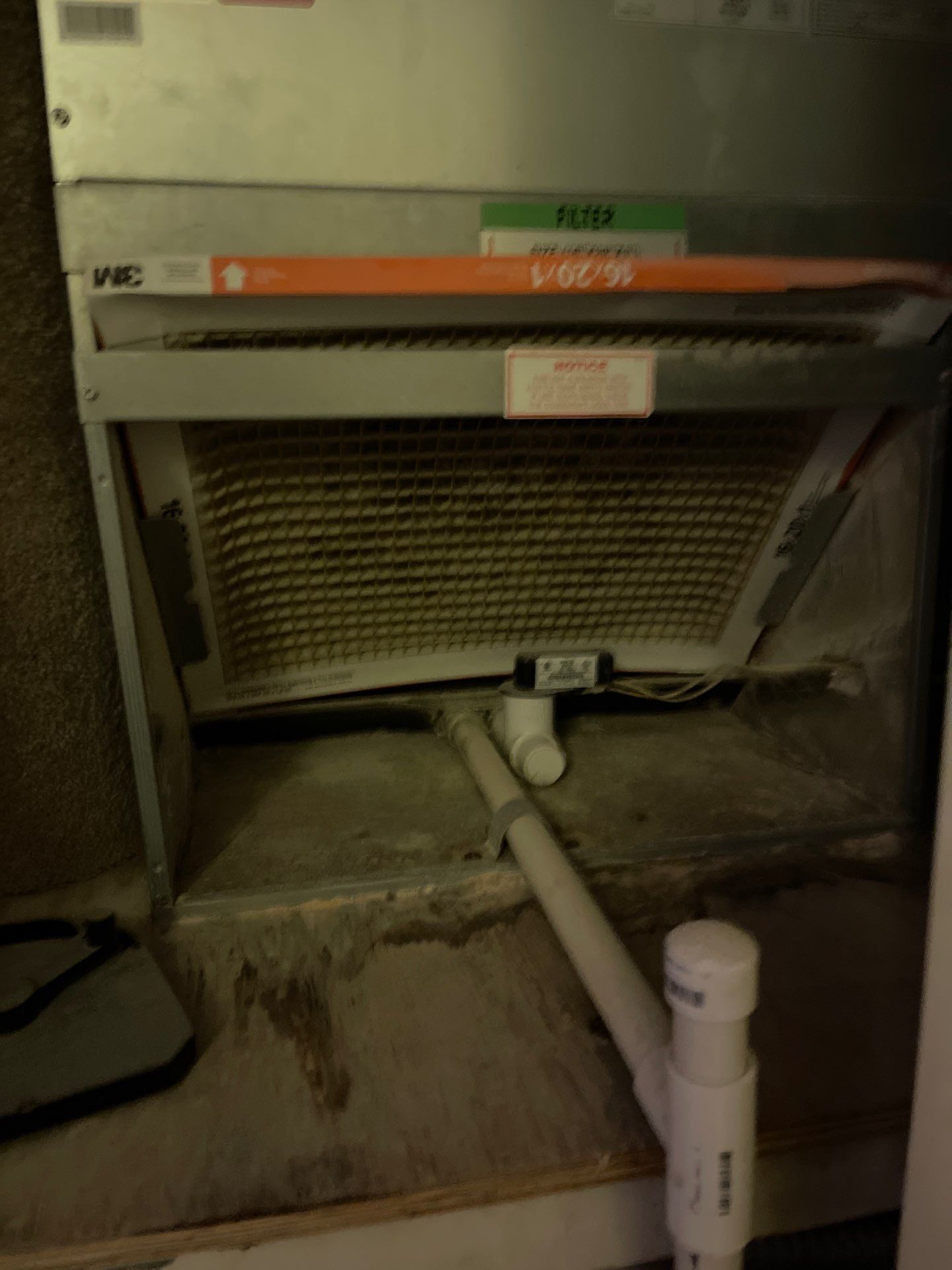 Horder house with Mold and Bacterial Contamination Issues  by Bay Coast Restoration 