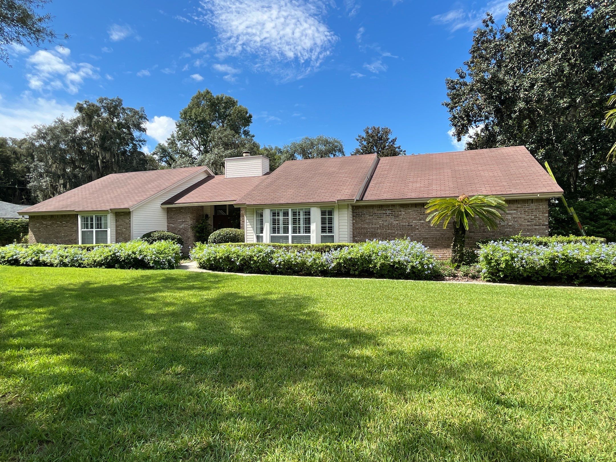 Shingle -> Shingle by Prime Roofing