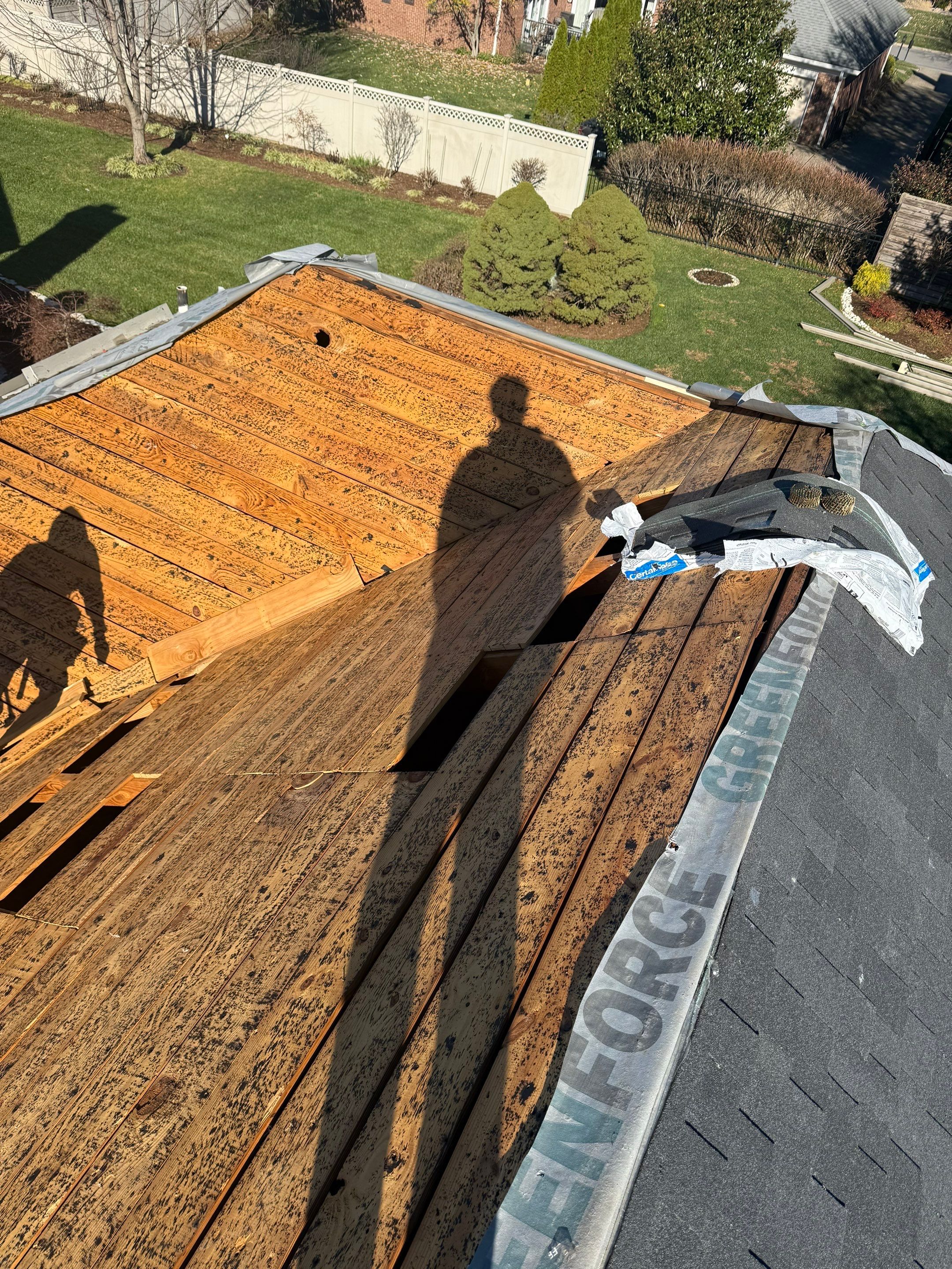 Project in Louisville, KY by GreenForce Restoration