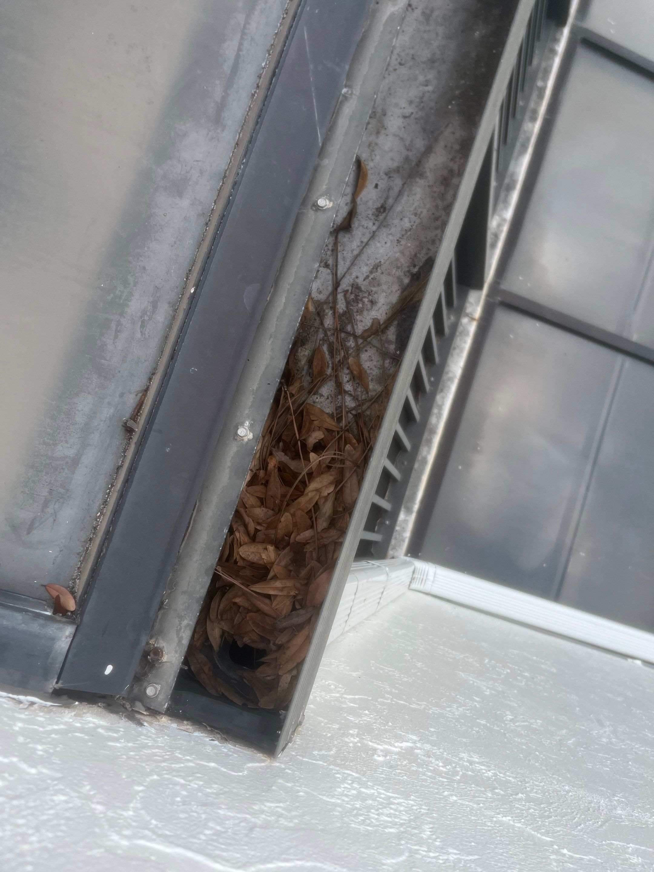 Professional Gutter Cleaning in Fort Myers FL by Gutter Professors