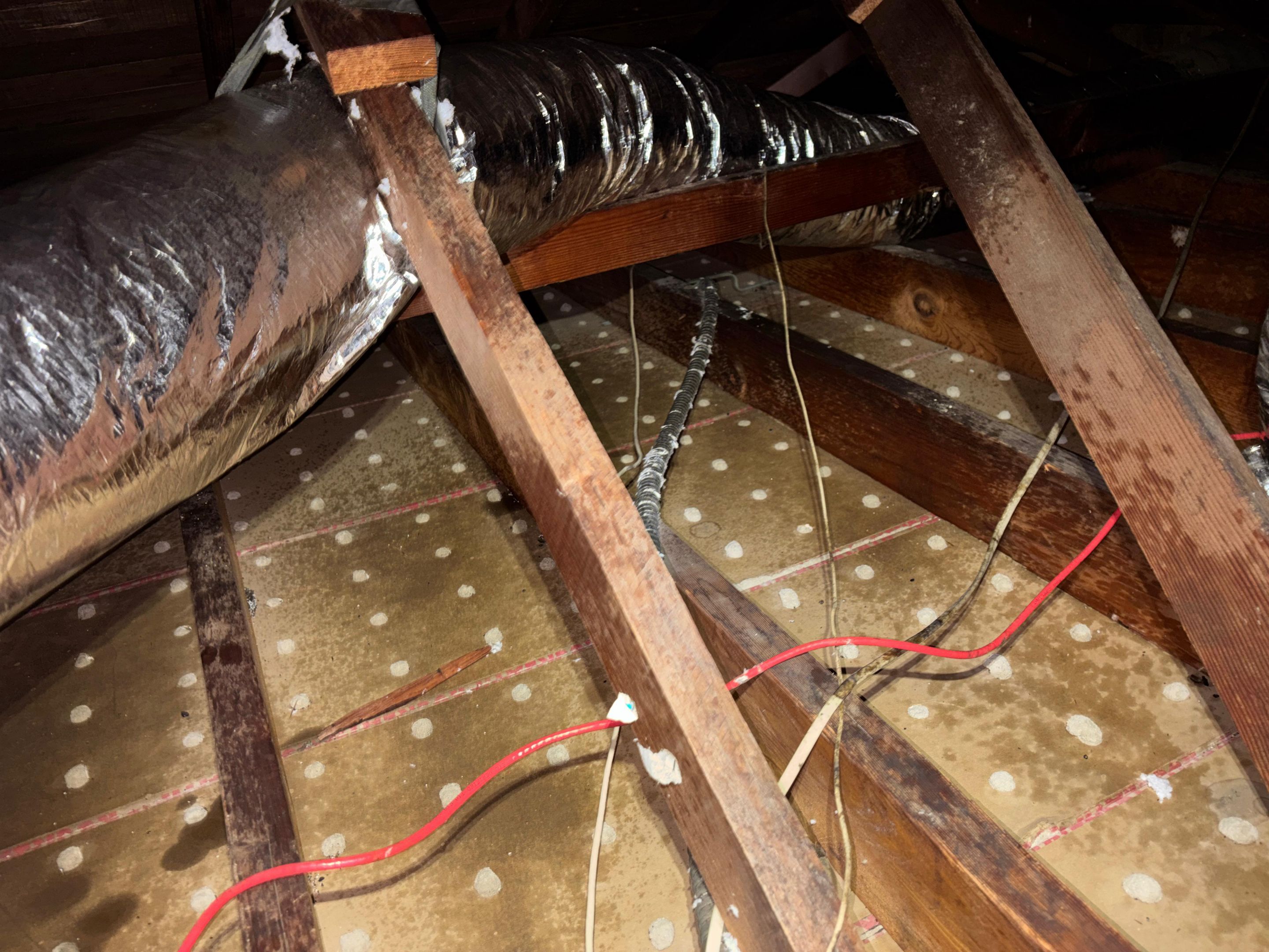 Project in Arleta by Insulation Labs