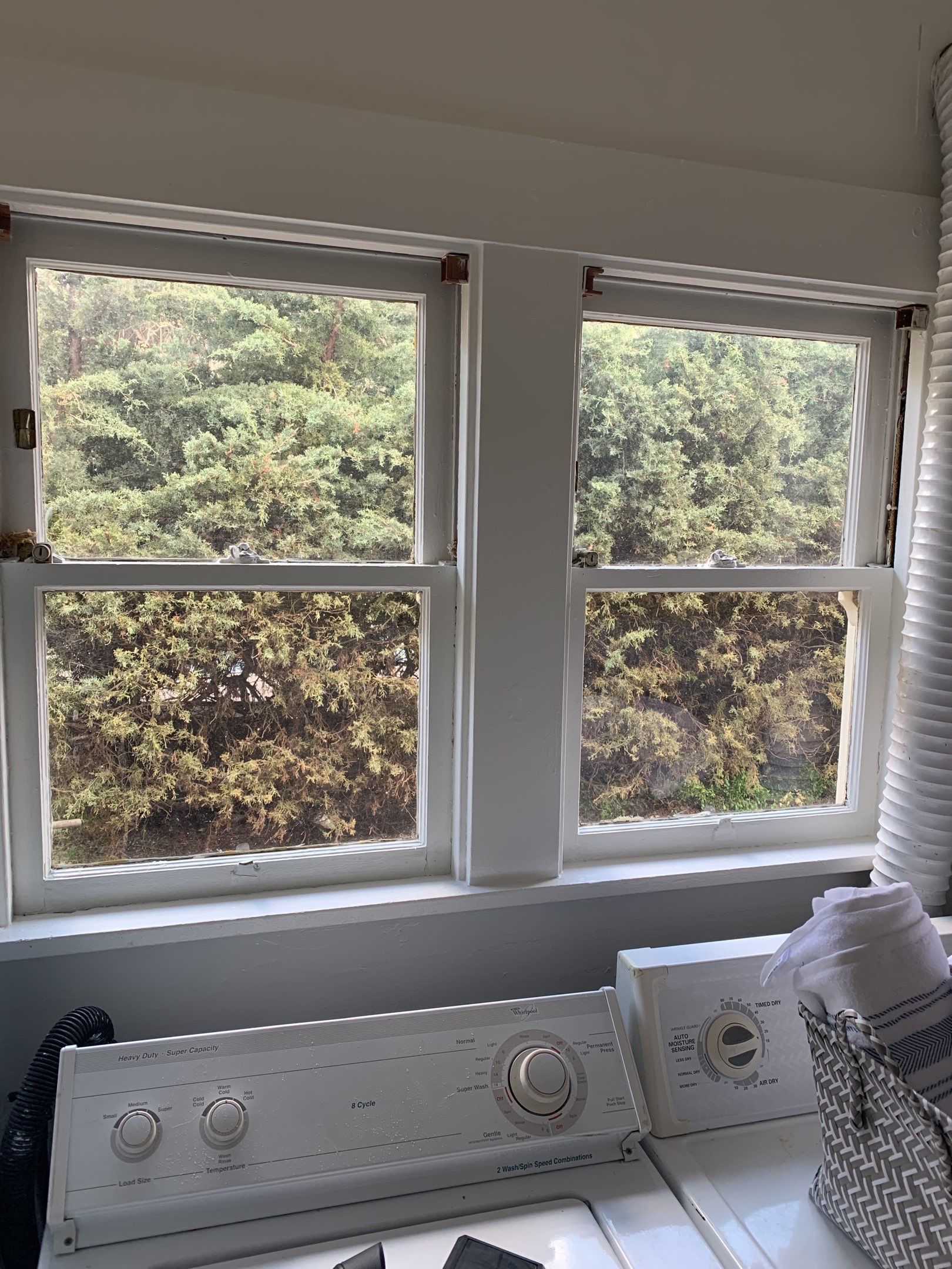 Scott Yundt Listing — 9526 Burr St by SpotFree Window Cleaning