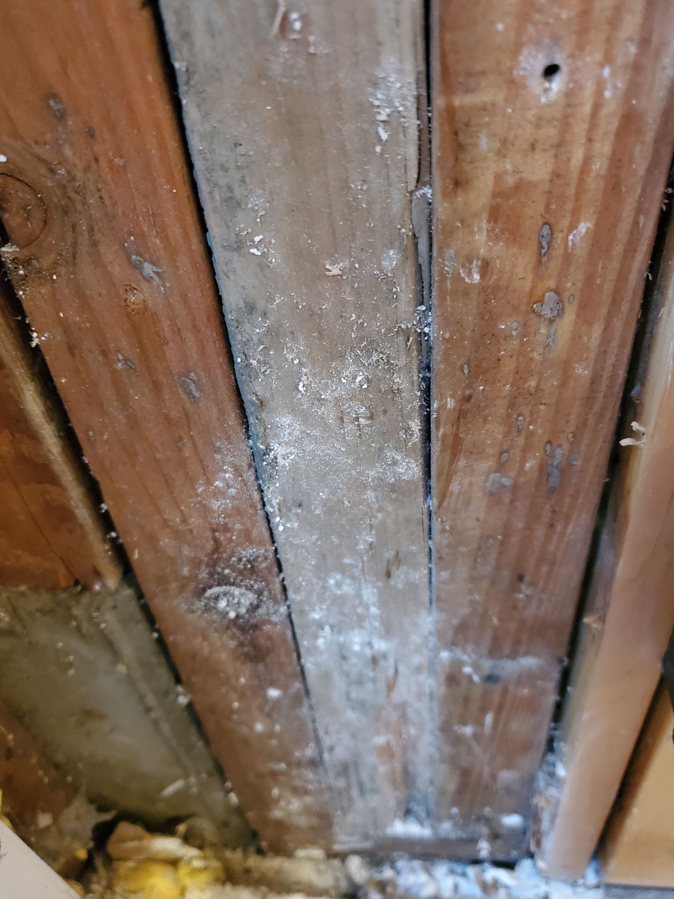 Water Damage by Construction Now LLC
