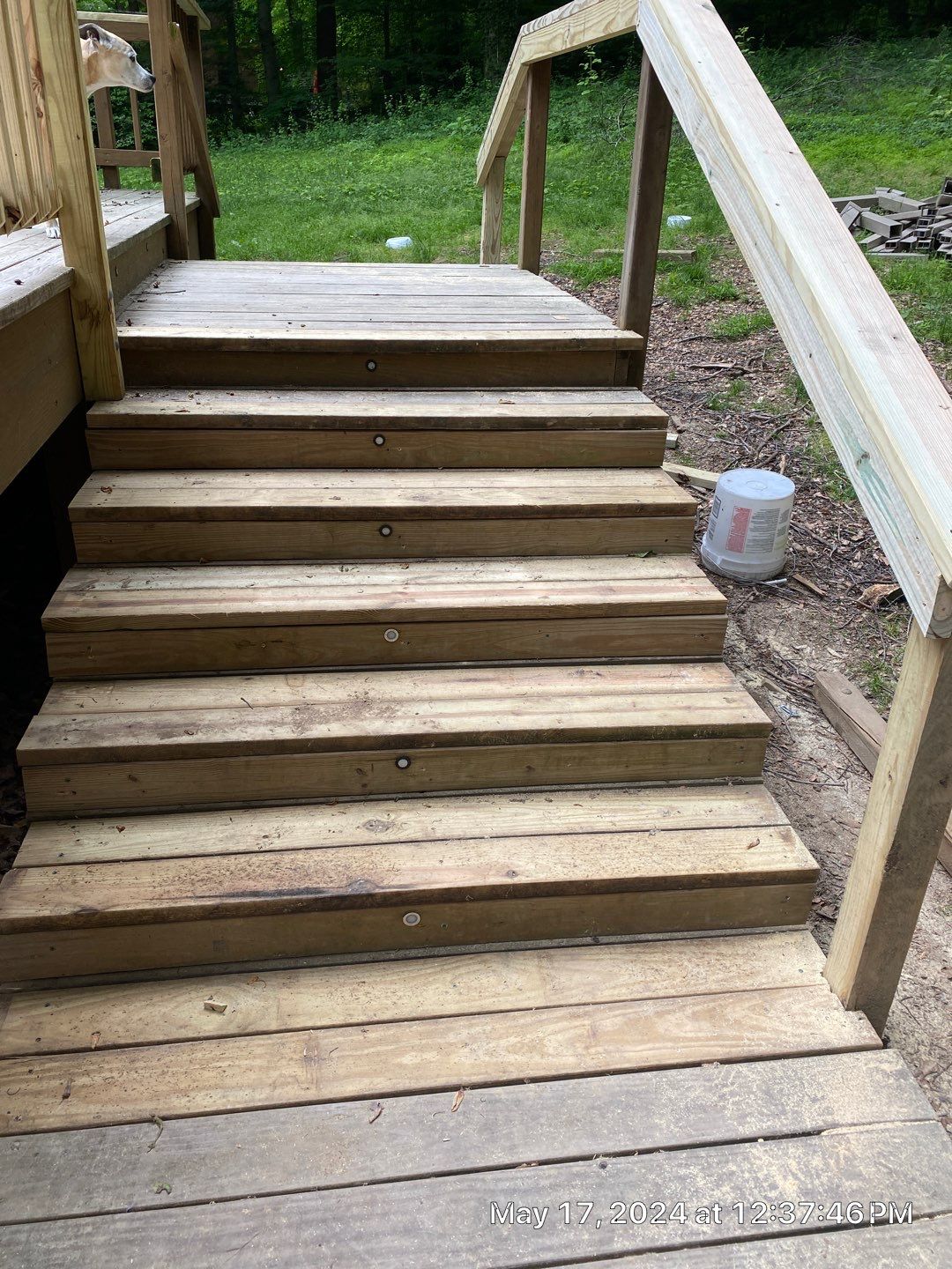 Annandale: Multi-Trade Tree Damage Restoration by RM Banning, Inc.