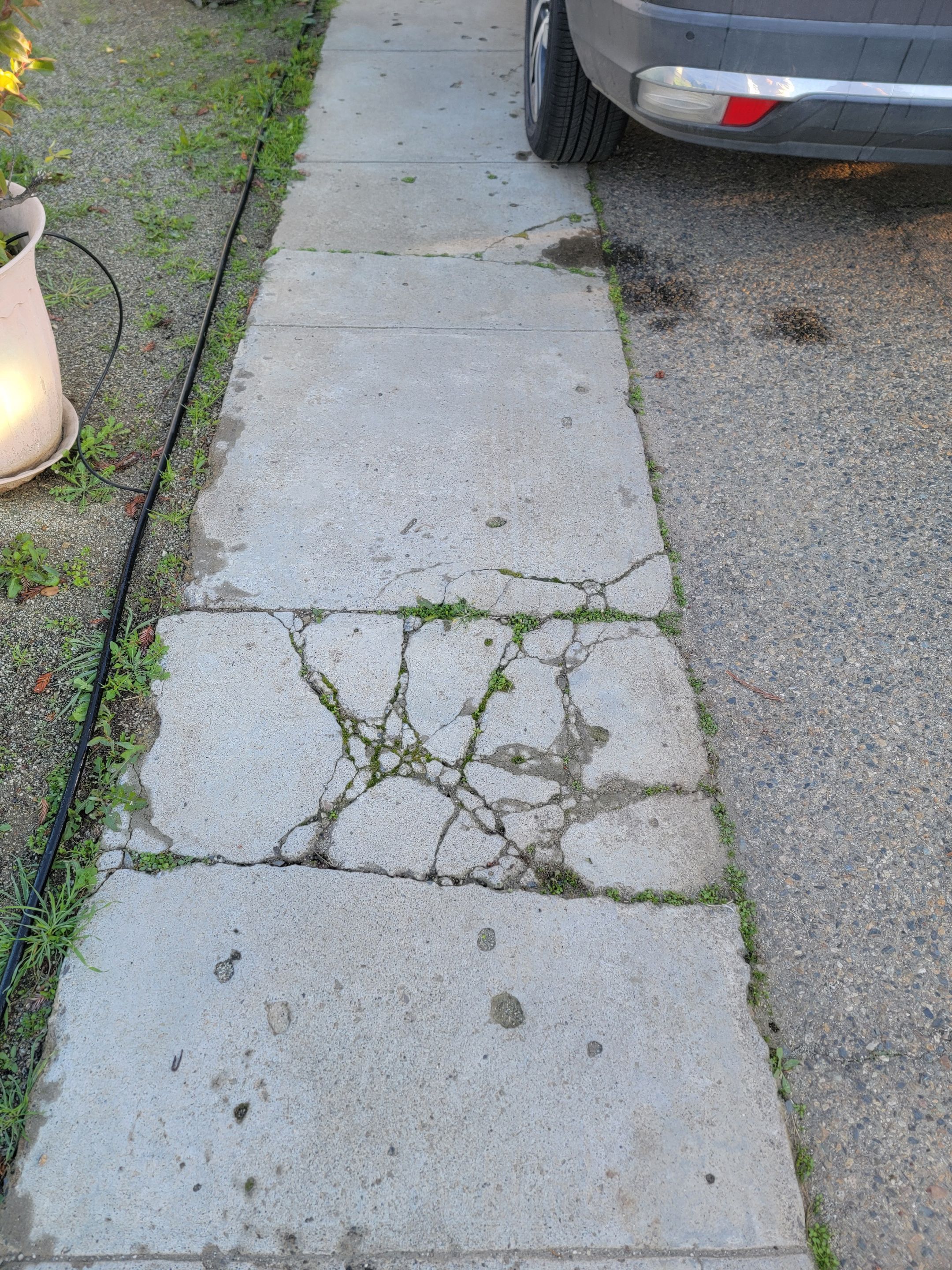 Front Porch and walkway by MGP Coatings