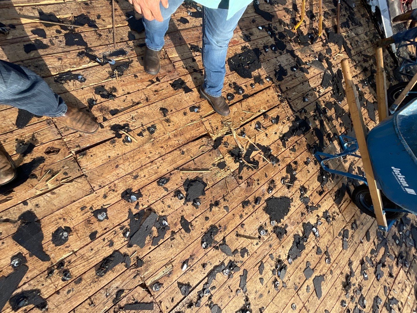 Beautiful Blue Shingle Re-Roof in Hollywood! by First Due Roofing