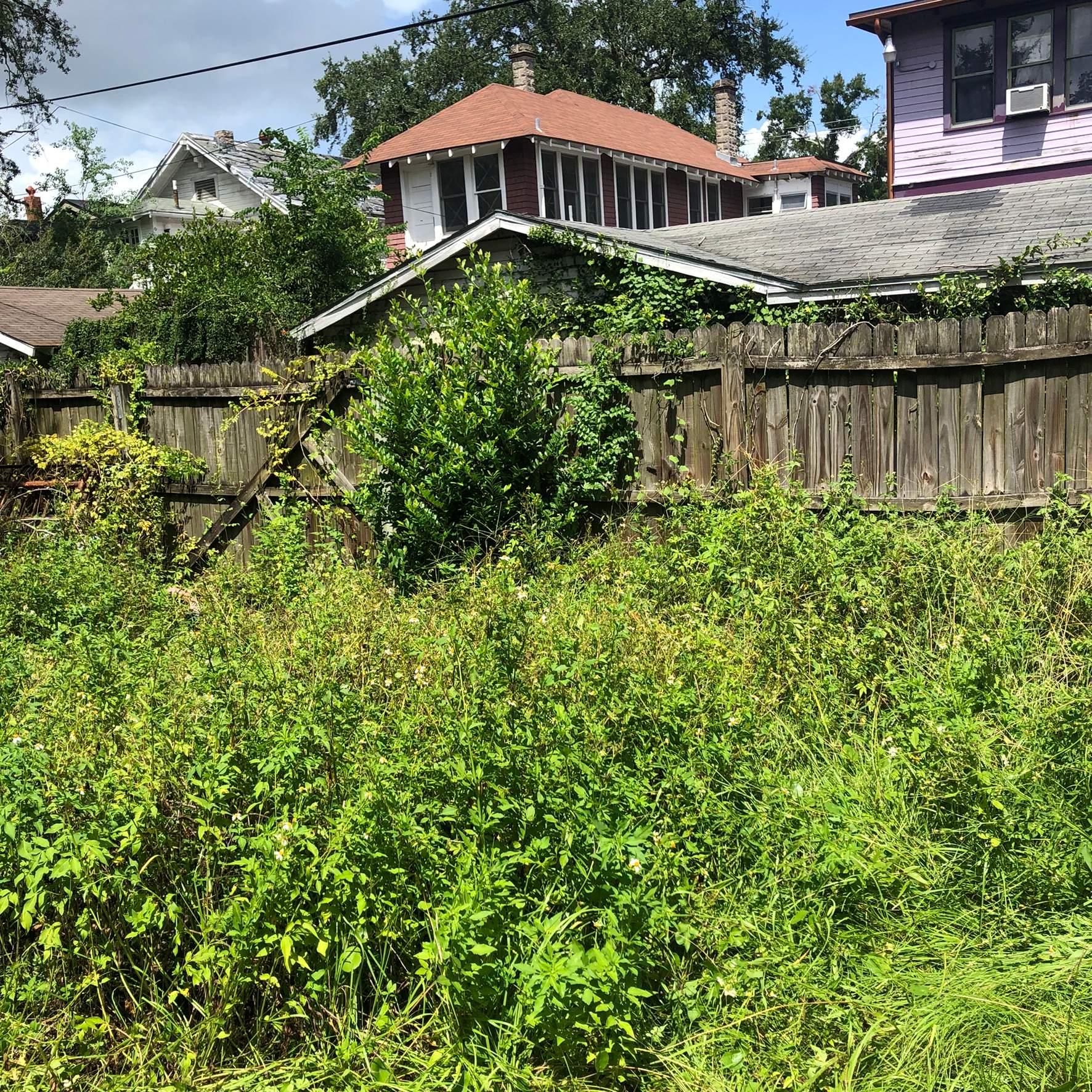 Extreme Clean Up | Riverside Area by ProGreen Services