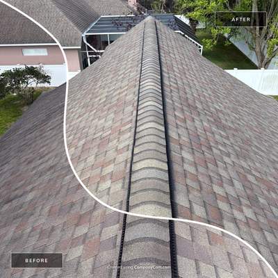 Shingle Roof Cleaning