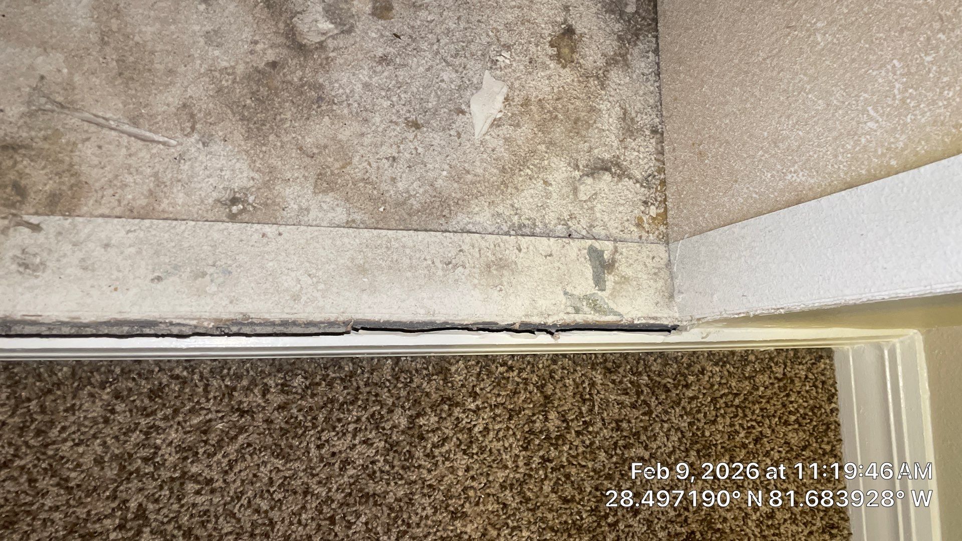 Air Duct Cleaning in Clermont by Hygienic Air, Inc