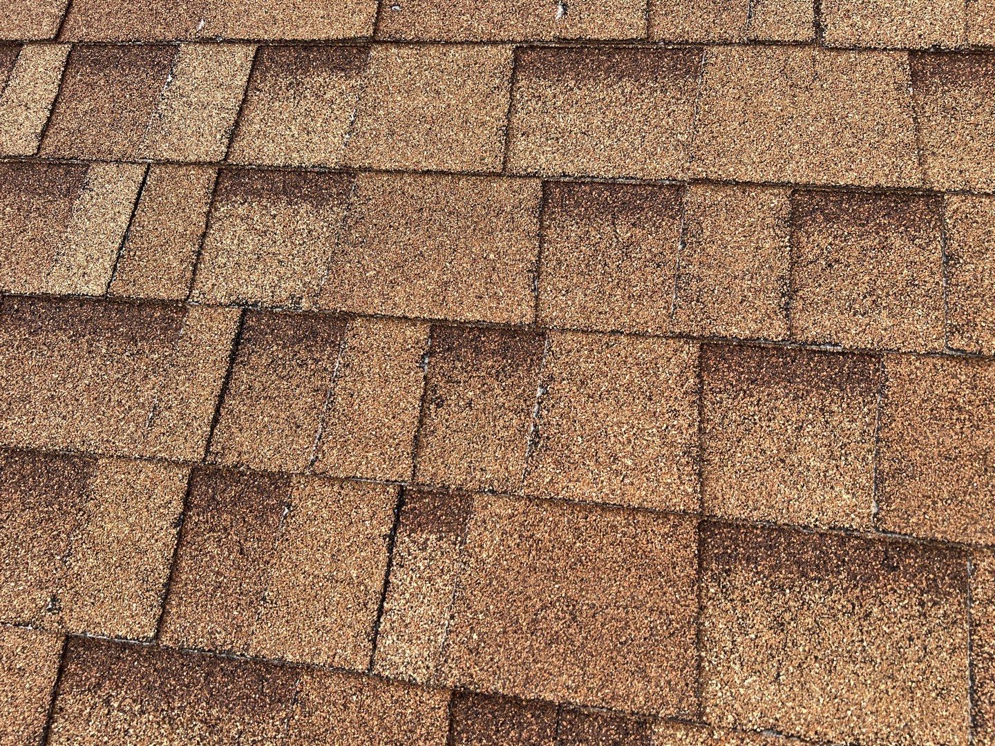 Jenna's Re-Roof and Ridge Vents by All Storm Roofing & Construction