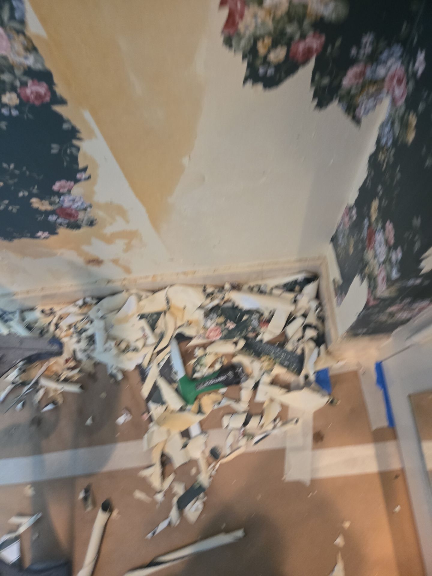 Wallpaper Removal / Interior Painting  by John “The Greek” Painting