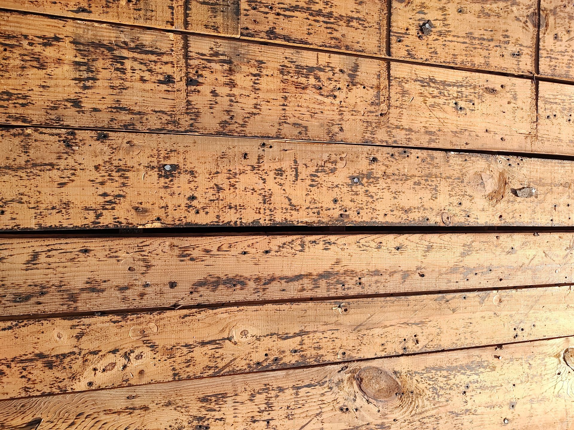 Storm damage restoration project by In & Out Construction & Remodeling, LLC