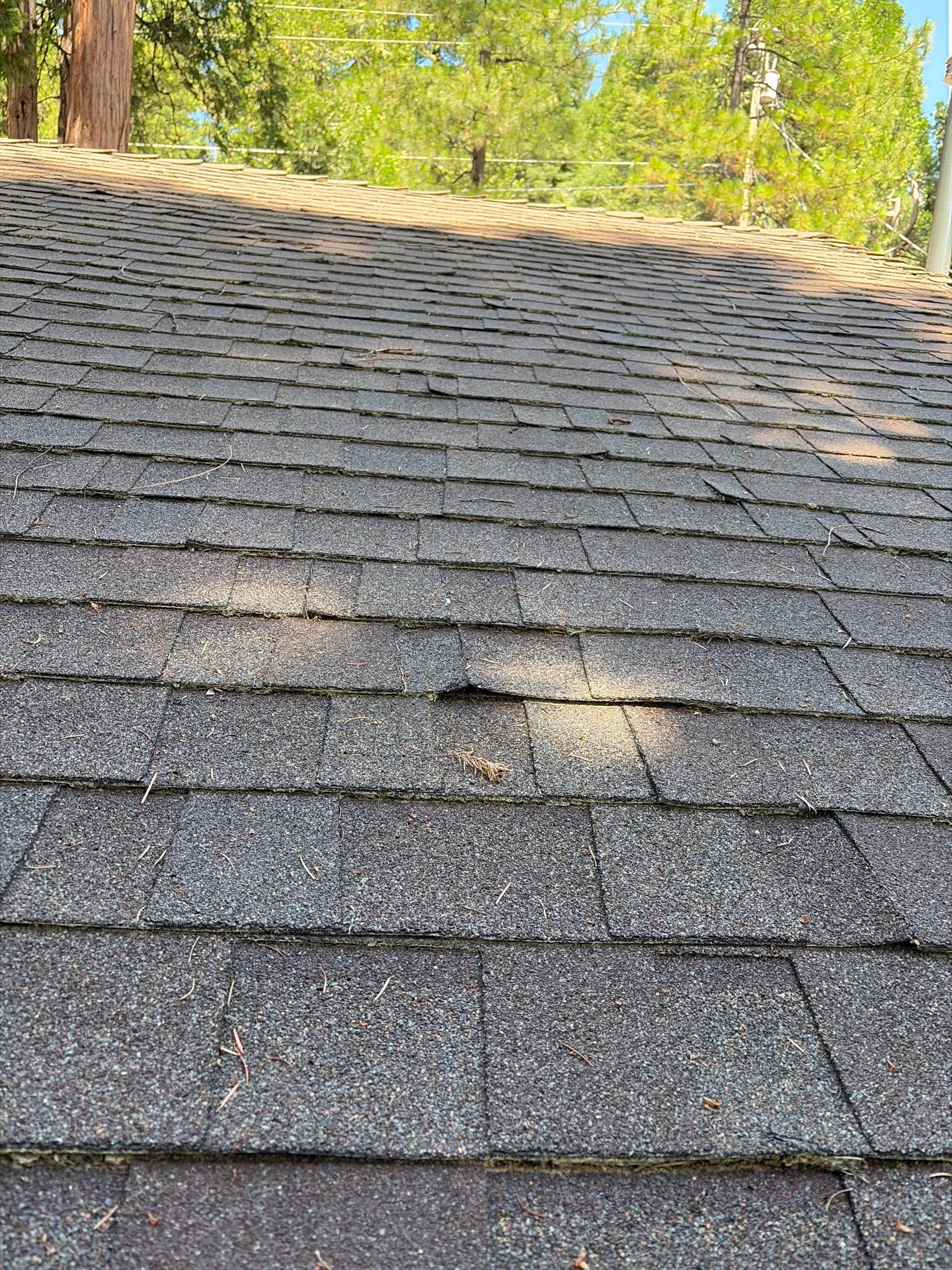 Roof Rejuvenation using Roof Maxx Treatment by Roof Maxx of Folsom