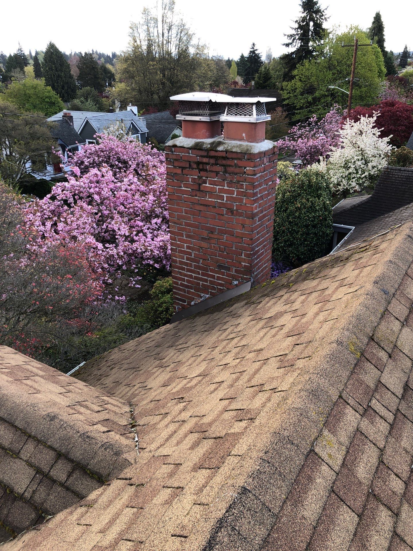 Project in Seattle by Peaks and Valleys Construction