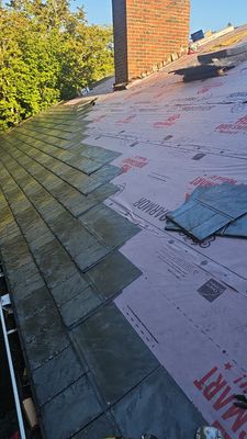Mercer Island Shake Conversion to EuroShield