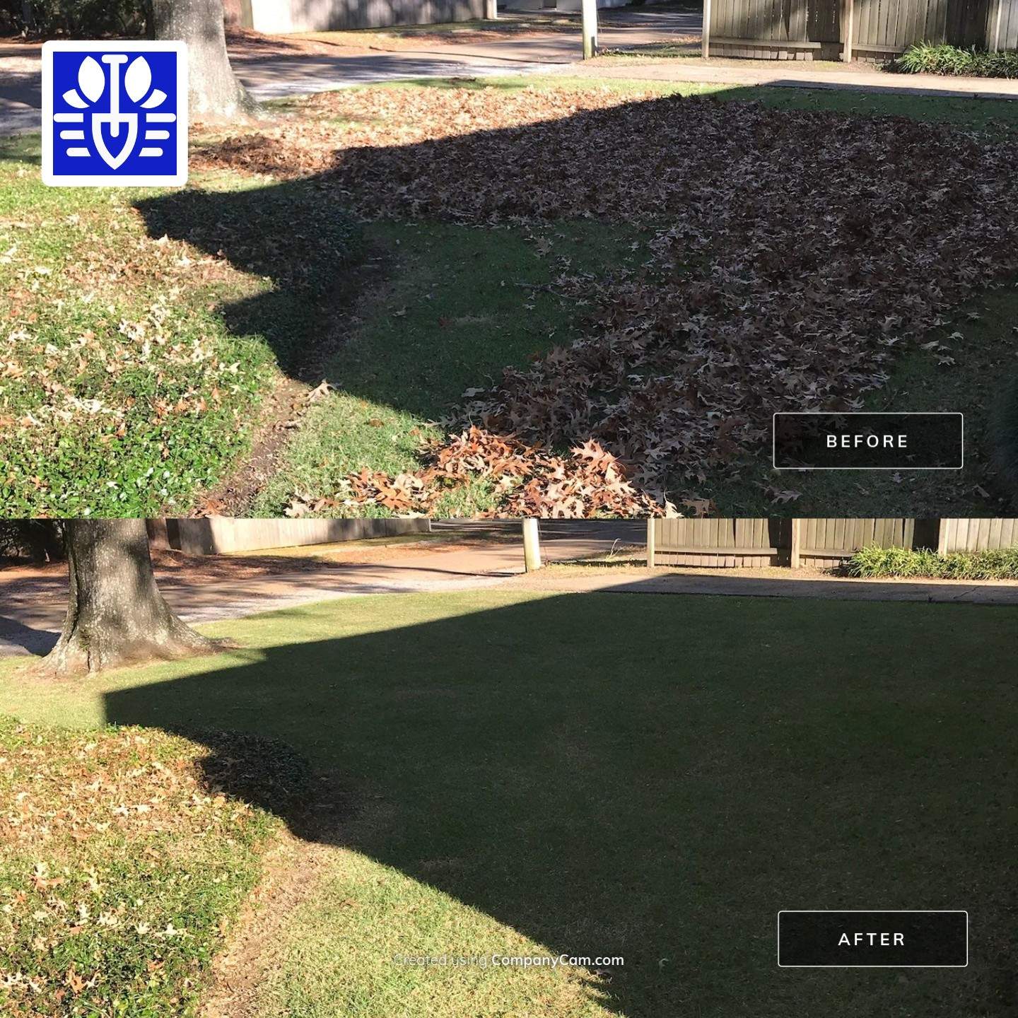 WINTER SERVICES: FULL LEAF JOB by CutScape, LLC.