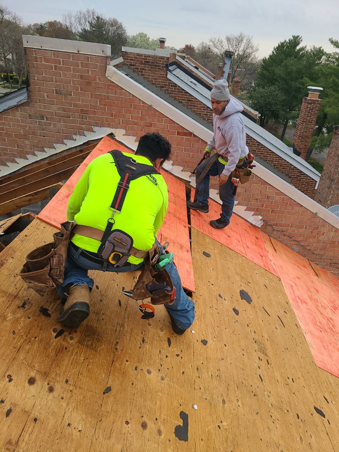 Springfield: Residential Roof Replacement with CertainTeed Landmark Pro in Max Def Red Oak by RM Banning, Inc.