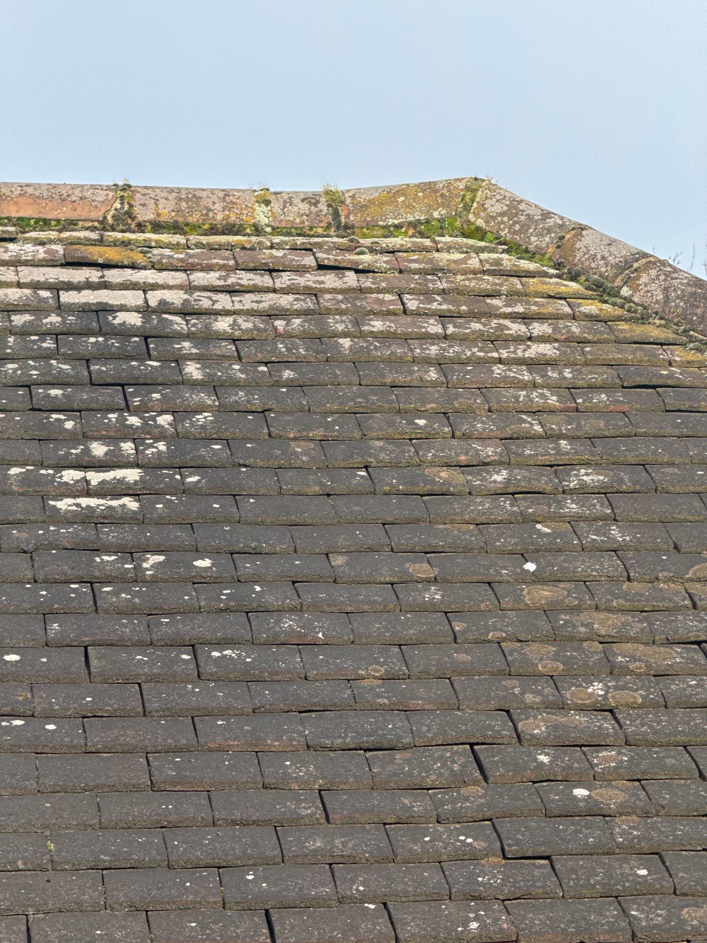 Exterior Clean - Roof - Patio - Driveway using Mosmatic FSC and Biocide by Ges Exterior Cleaning ltd