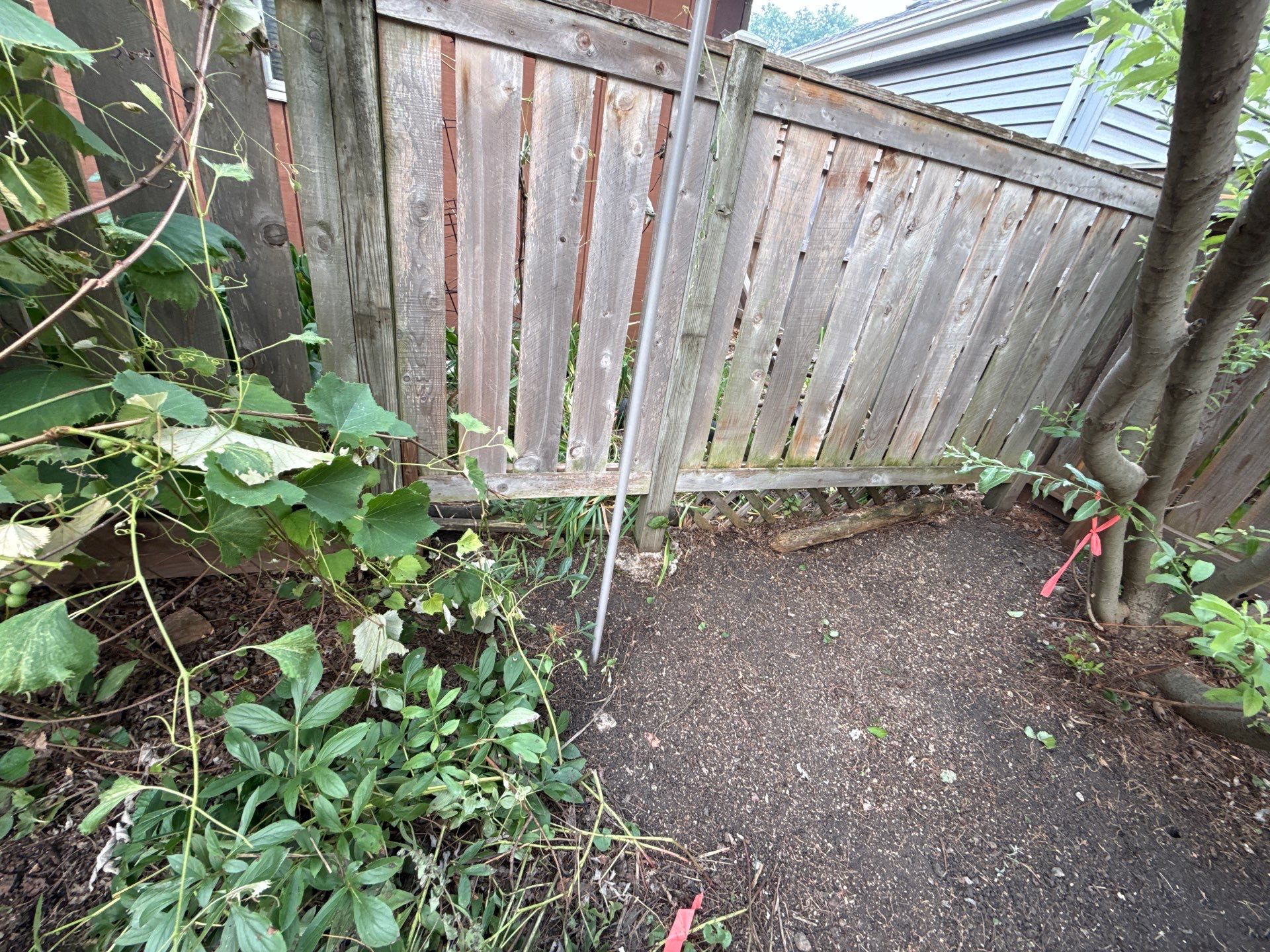 Donna L. - Arlington Heights, IL by A&N