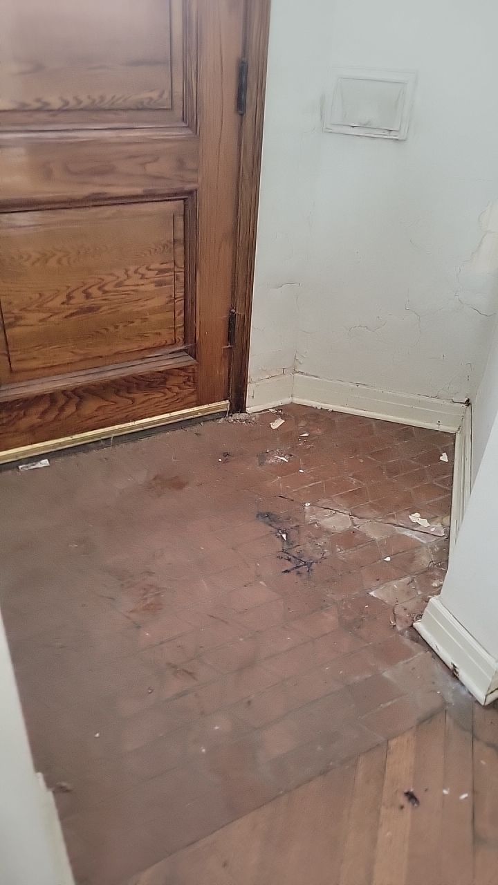 Mold Remediation by Accountable Home Services