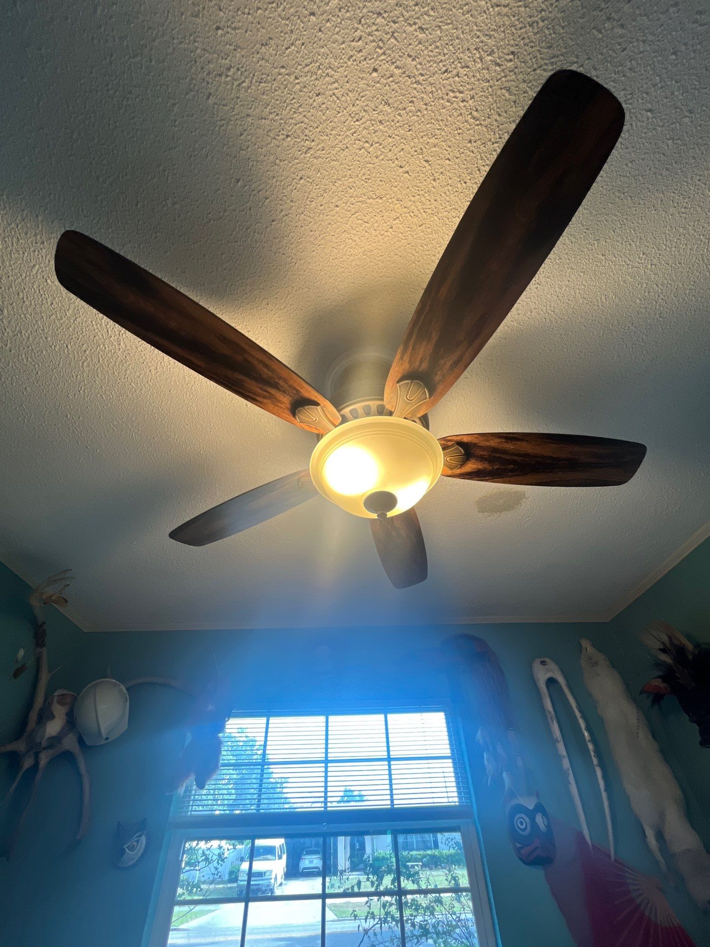 Electrical Repair and Fan Installation in Winter Park by Smartron Electric