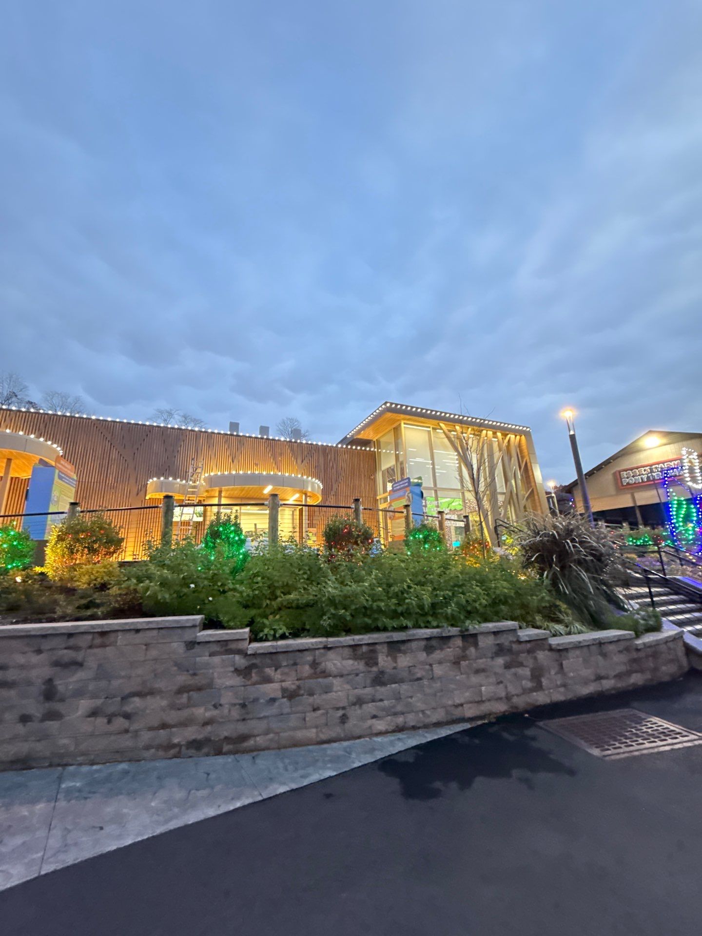 Commercial Holiday Lighting in West Orange, NJ by Clearview Washing