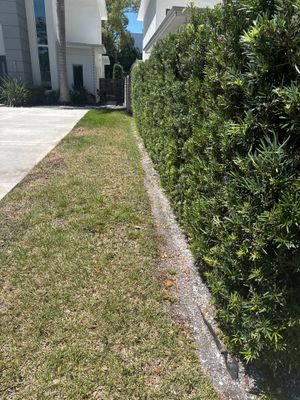 Custom Outdoor Lighting and Artificial Grass Installation in Tampa