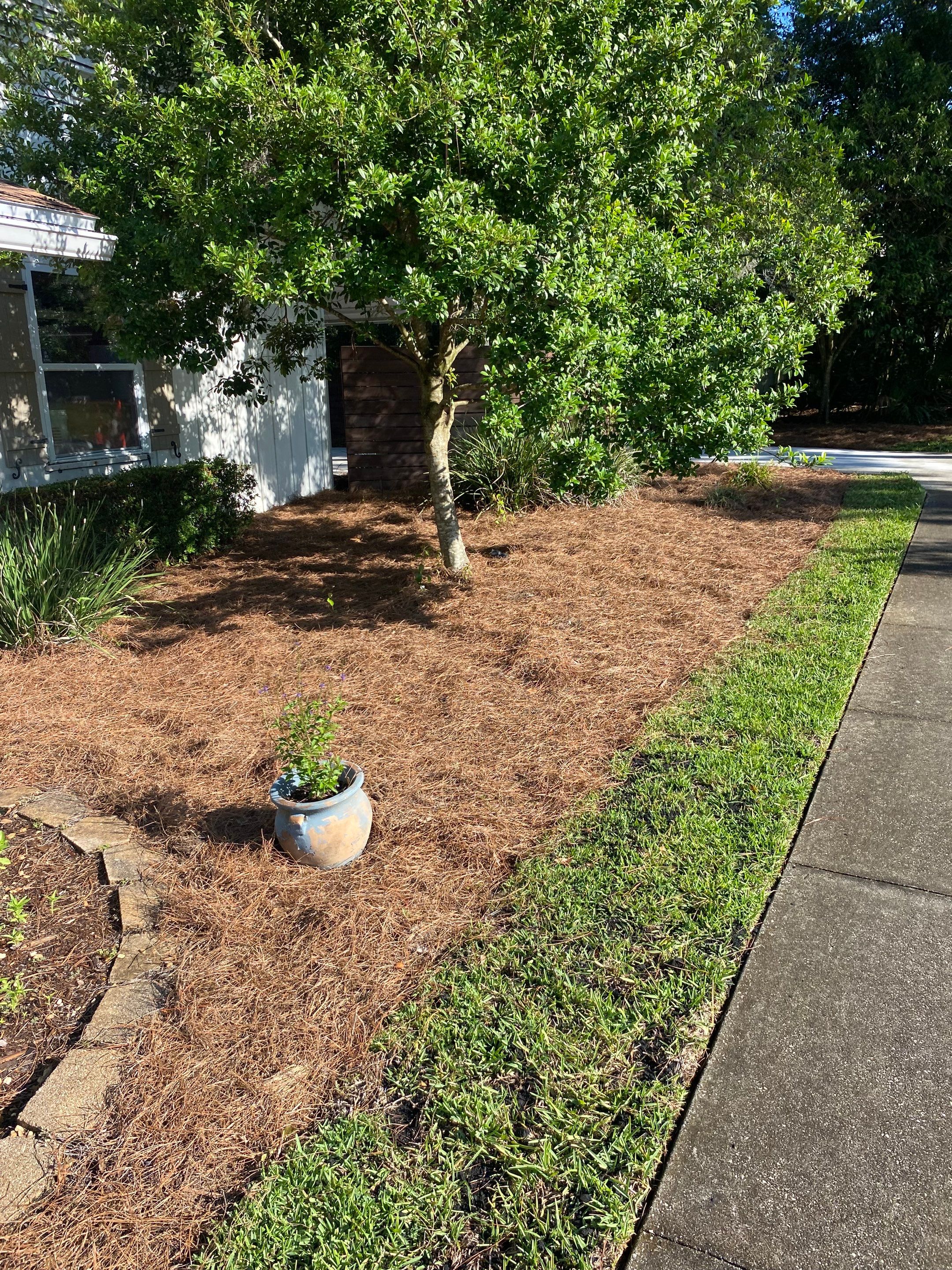 Deerwood Resident | Pine Straw & Topsoil Install by ProGreen Services