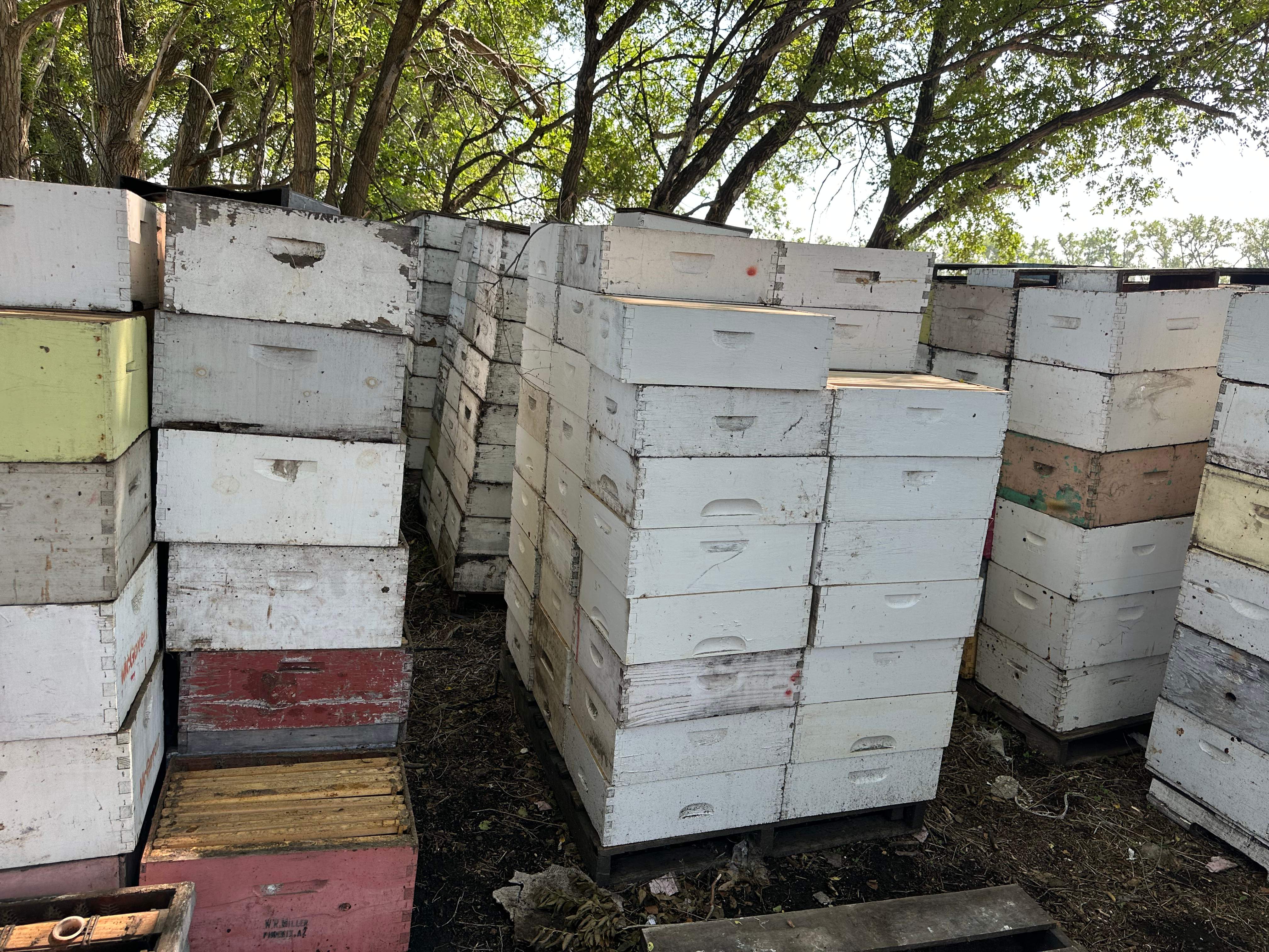 BeeGirl's Honey House in the Midwest by Rockwall Honey Bee Company