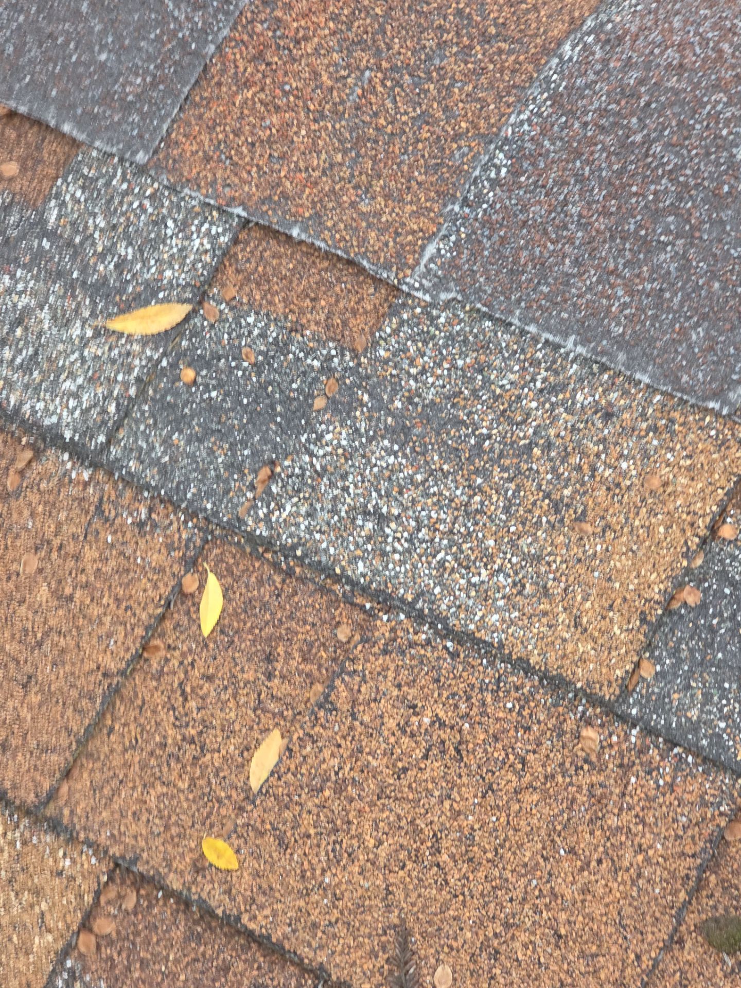 Roof Rejuvenation using Roof Maxx Treatment by Roof Maxx of Folsom